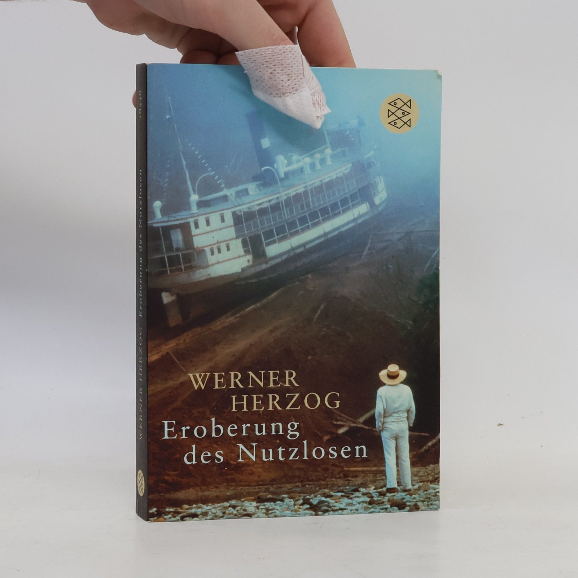 Werner Herzog Eroberung des Nutzlosen