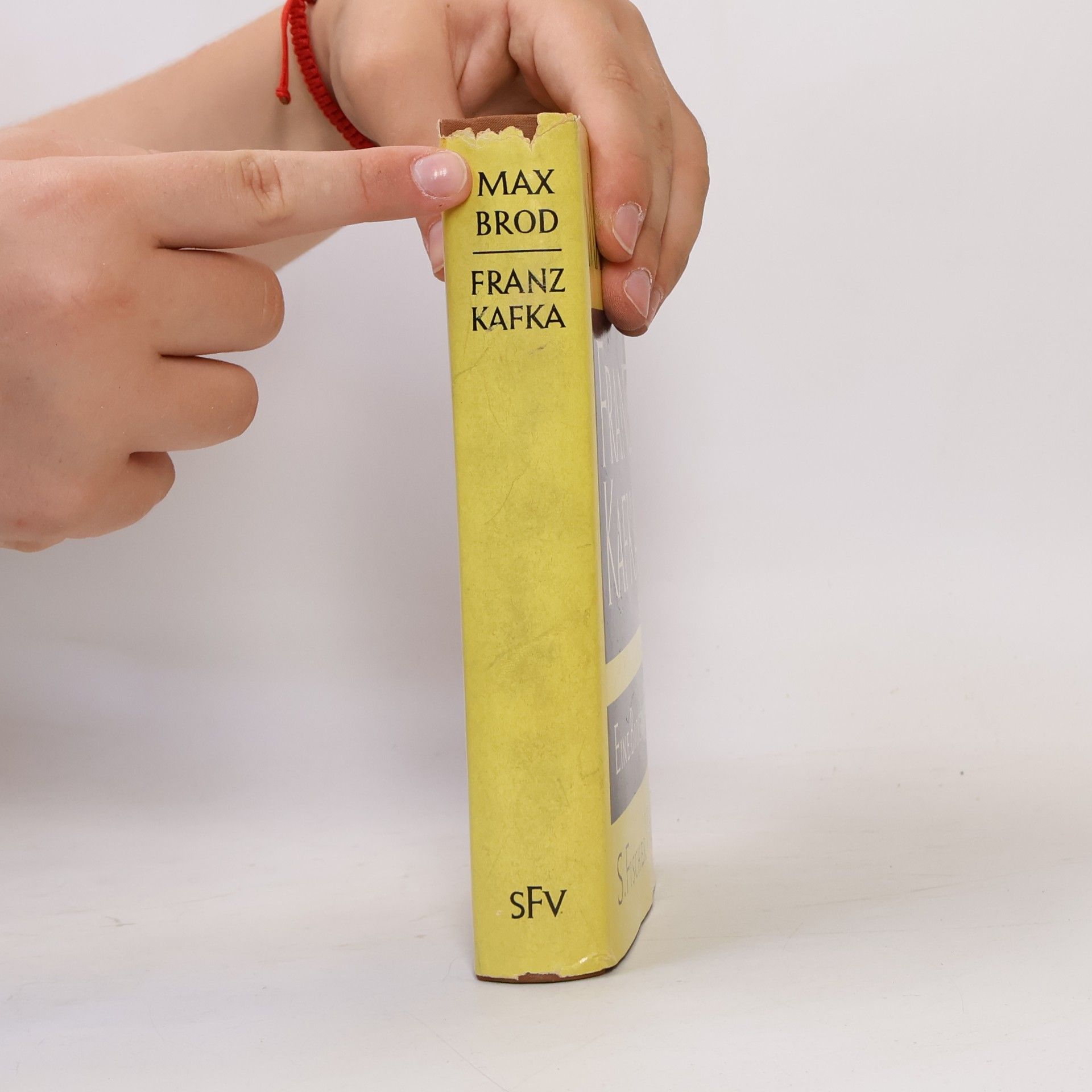 Max Brod Franz Kafka. Eine Biographie