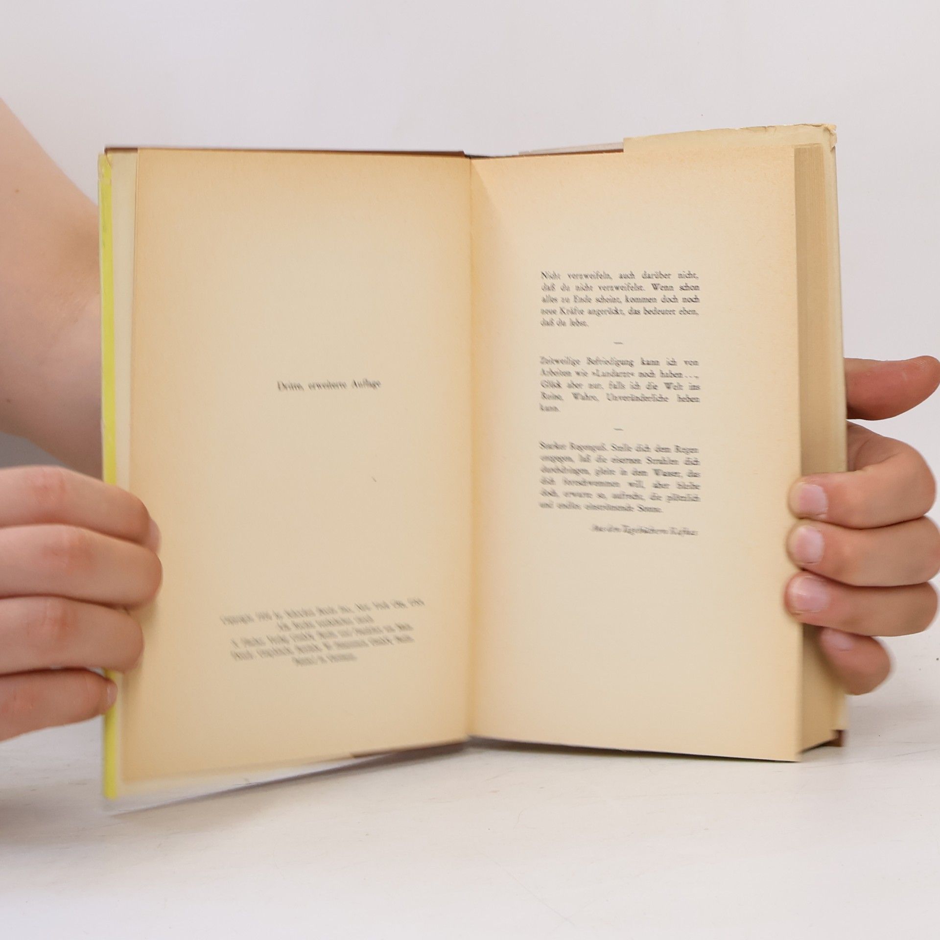 Max Brod Franz Kafka. Eine Biographie