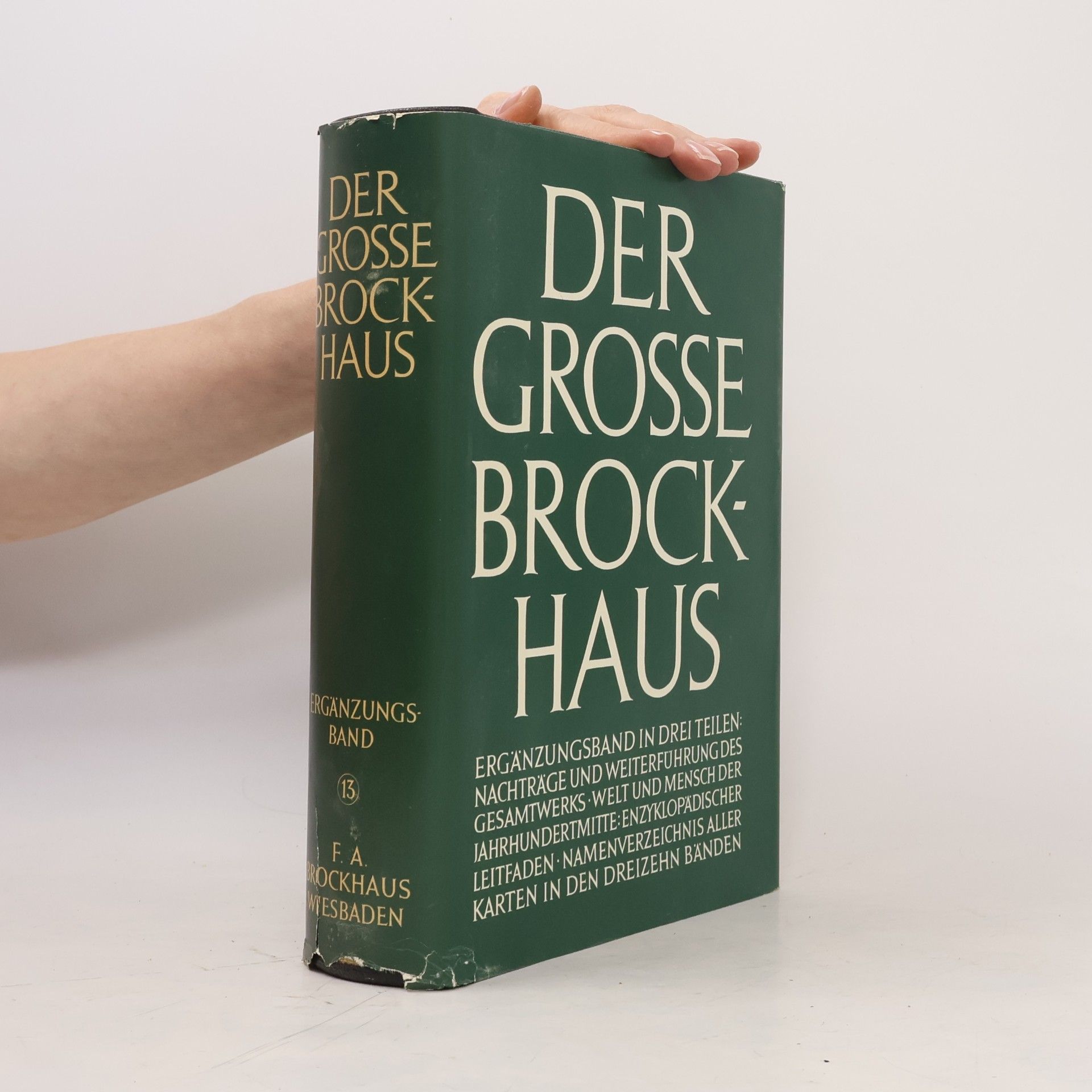 Various authors Der Grosse Brockhaus 13
