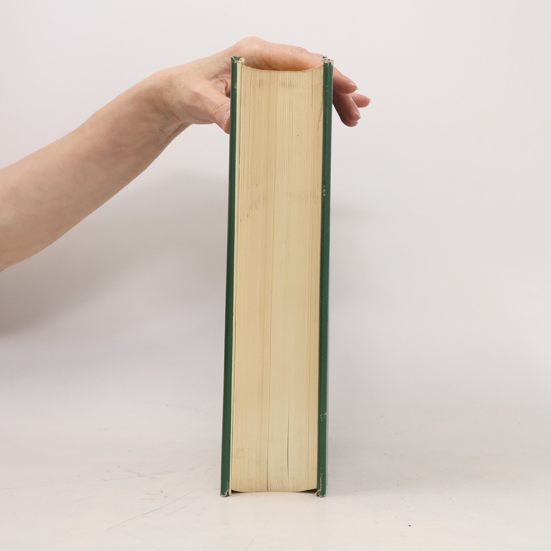 Various authors Der Grosse Brockhaus 13