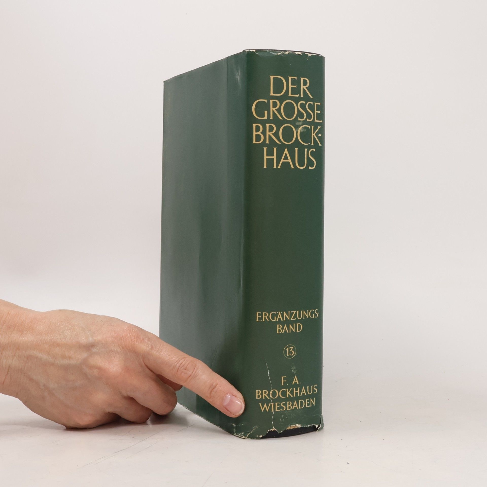 Various authors Der Grosse Brockhaus 13