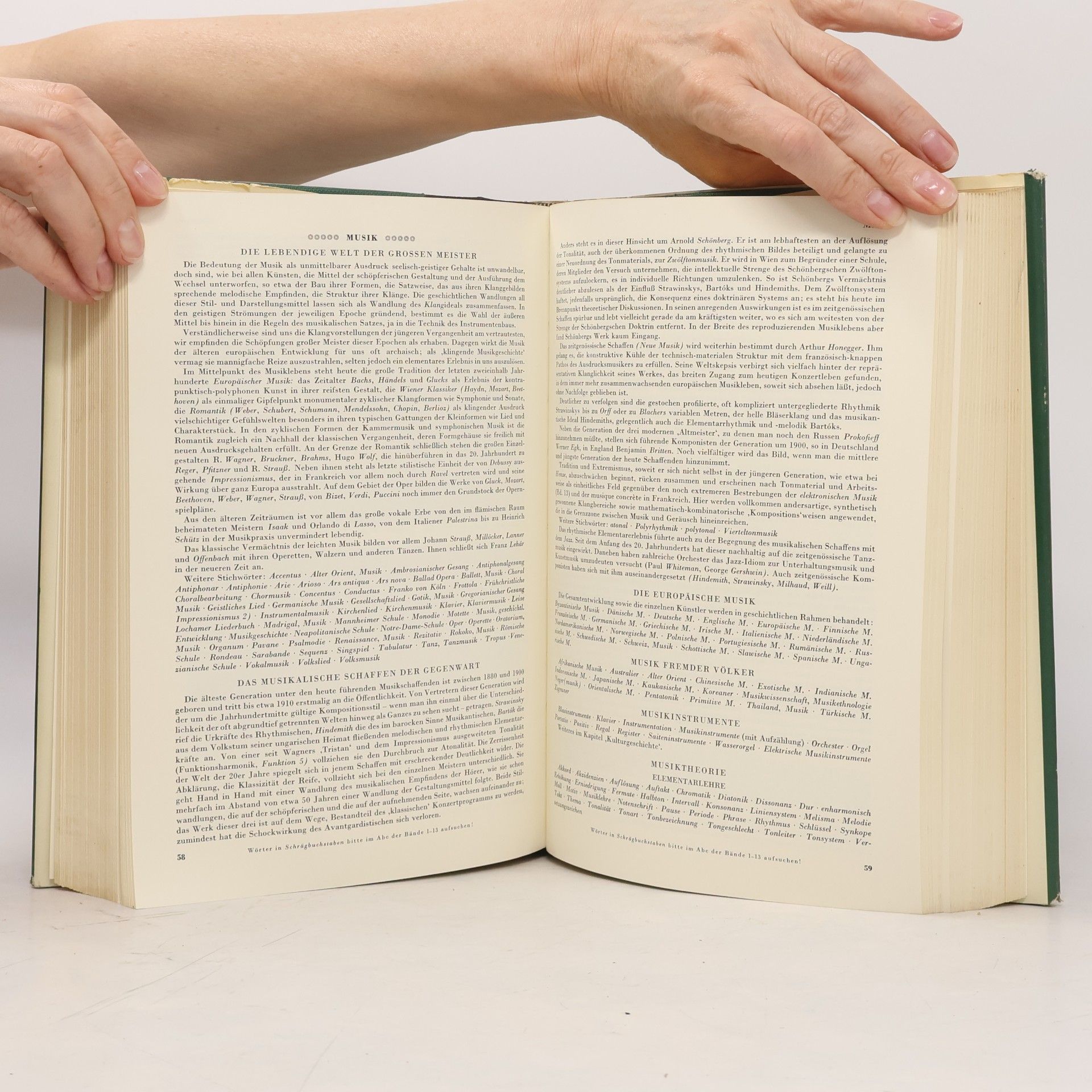 Various authors Der Grosse Brockhaus 13