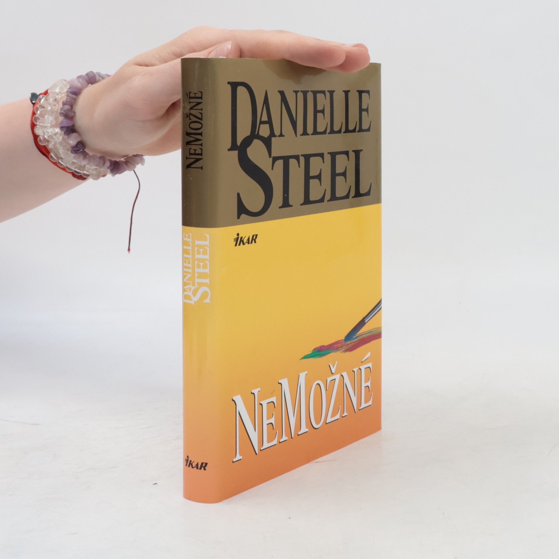 Danielle Steel Nemožné