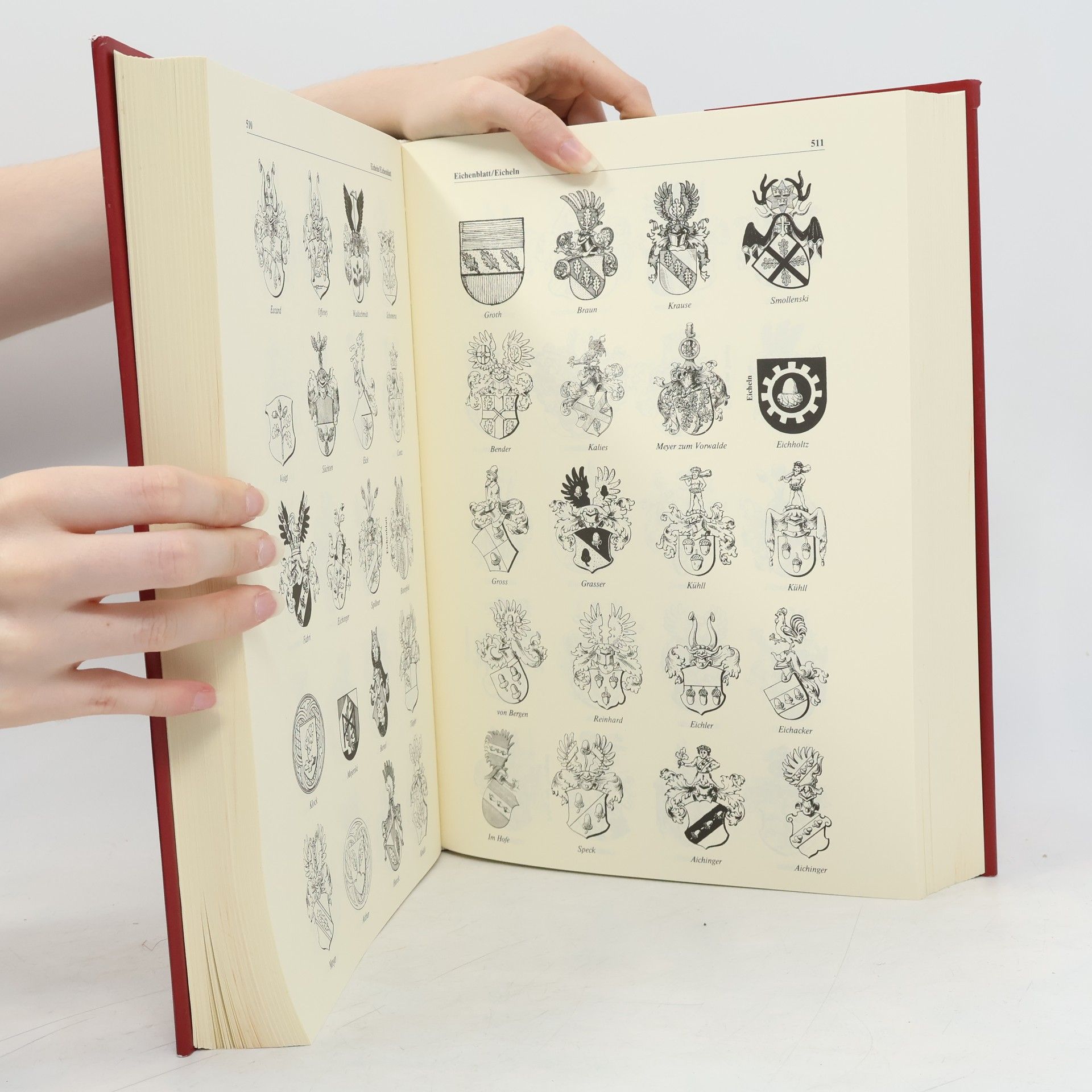 Ottfried Neubecker Grosses Wappen-Bilder-Lexikon der bürgerlichen Geschlechter Deutschlands, Österreichs und der Schweiz