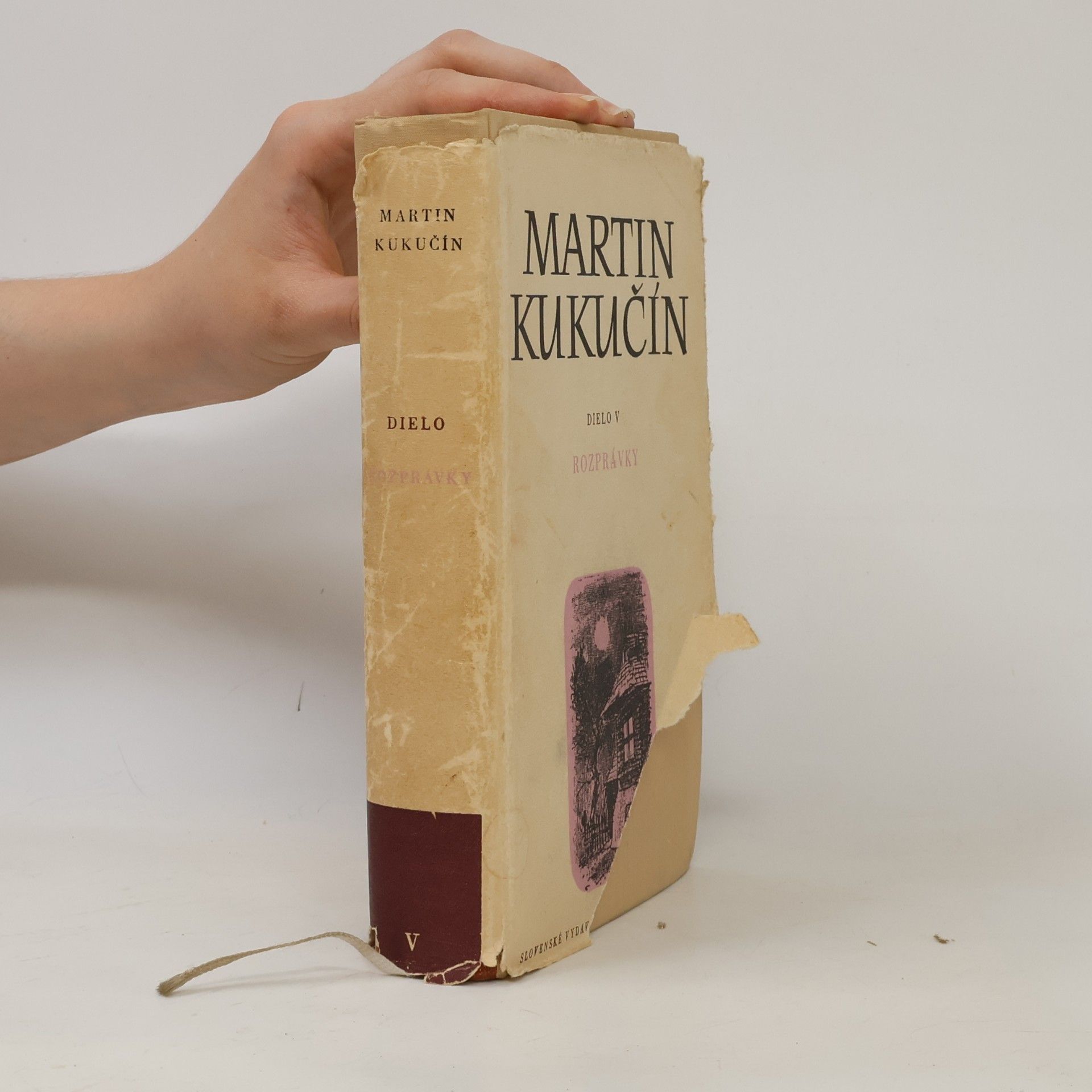 Martin Kukučín Dielo V