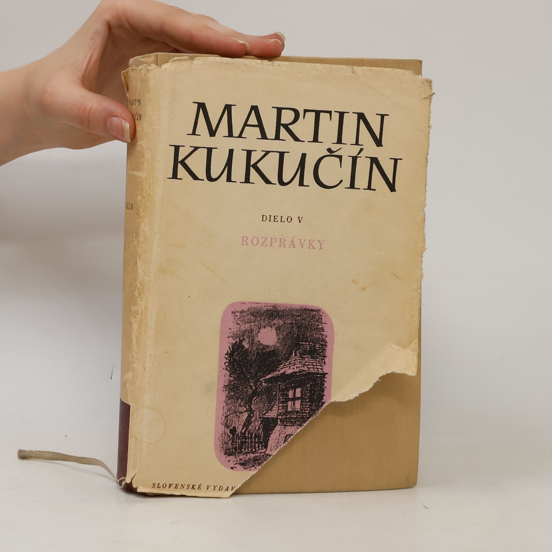 Martin Kukučín Dielo V