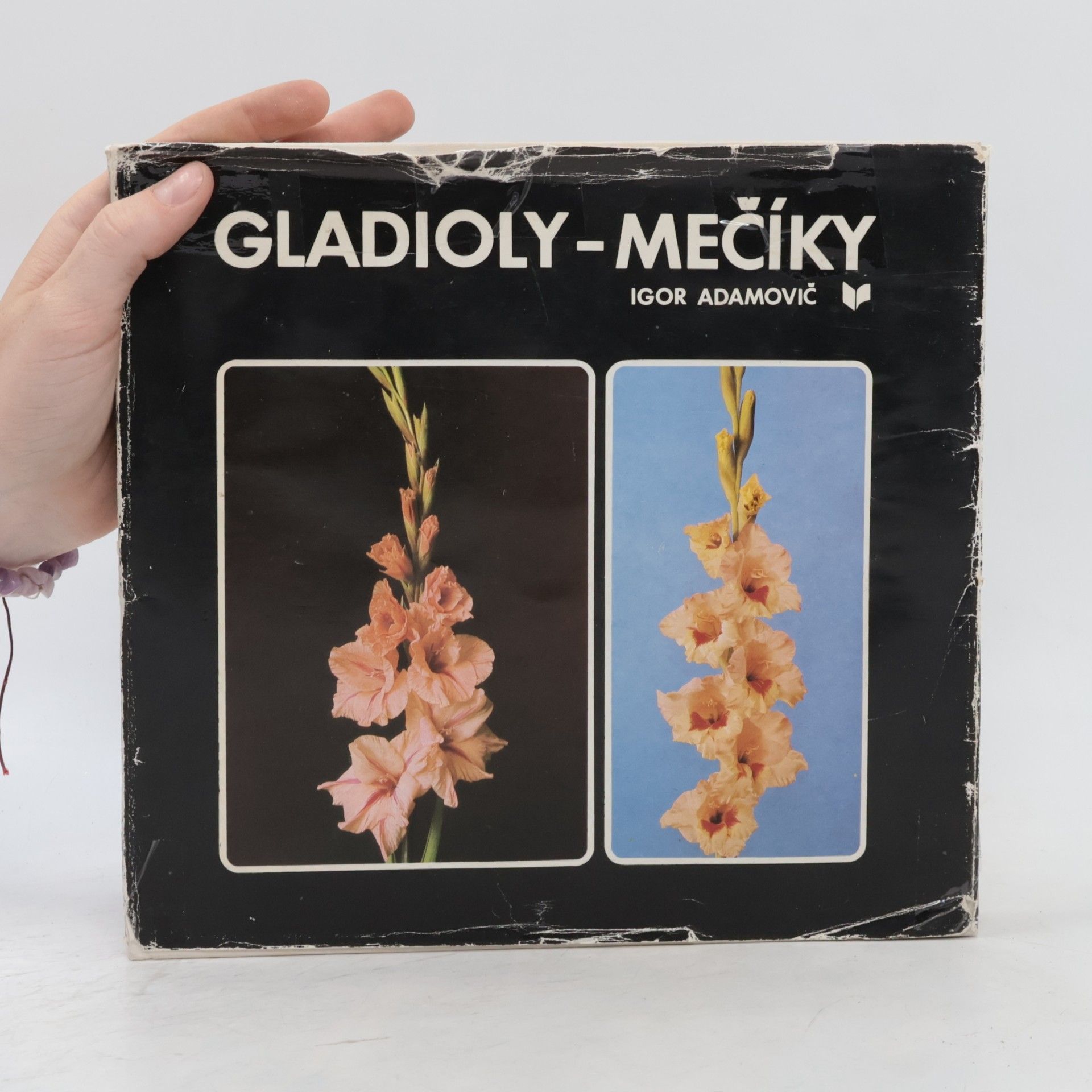 Igor Adamovič Gladioly-mečíky