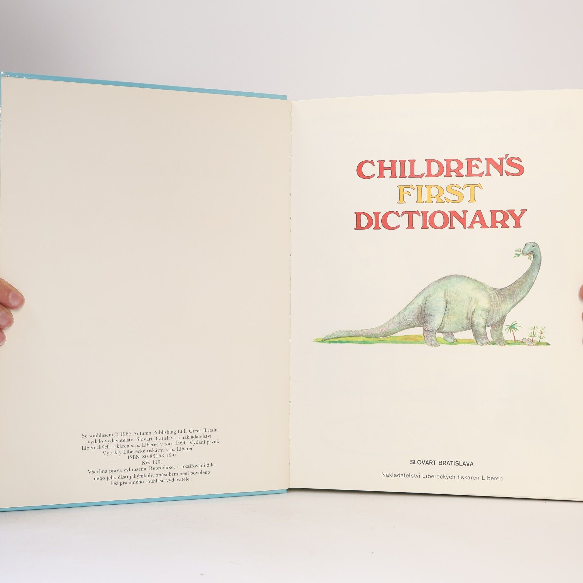 Autorenkollektiv Children's First Dictionary