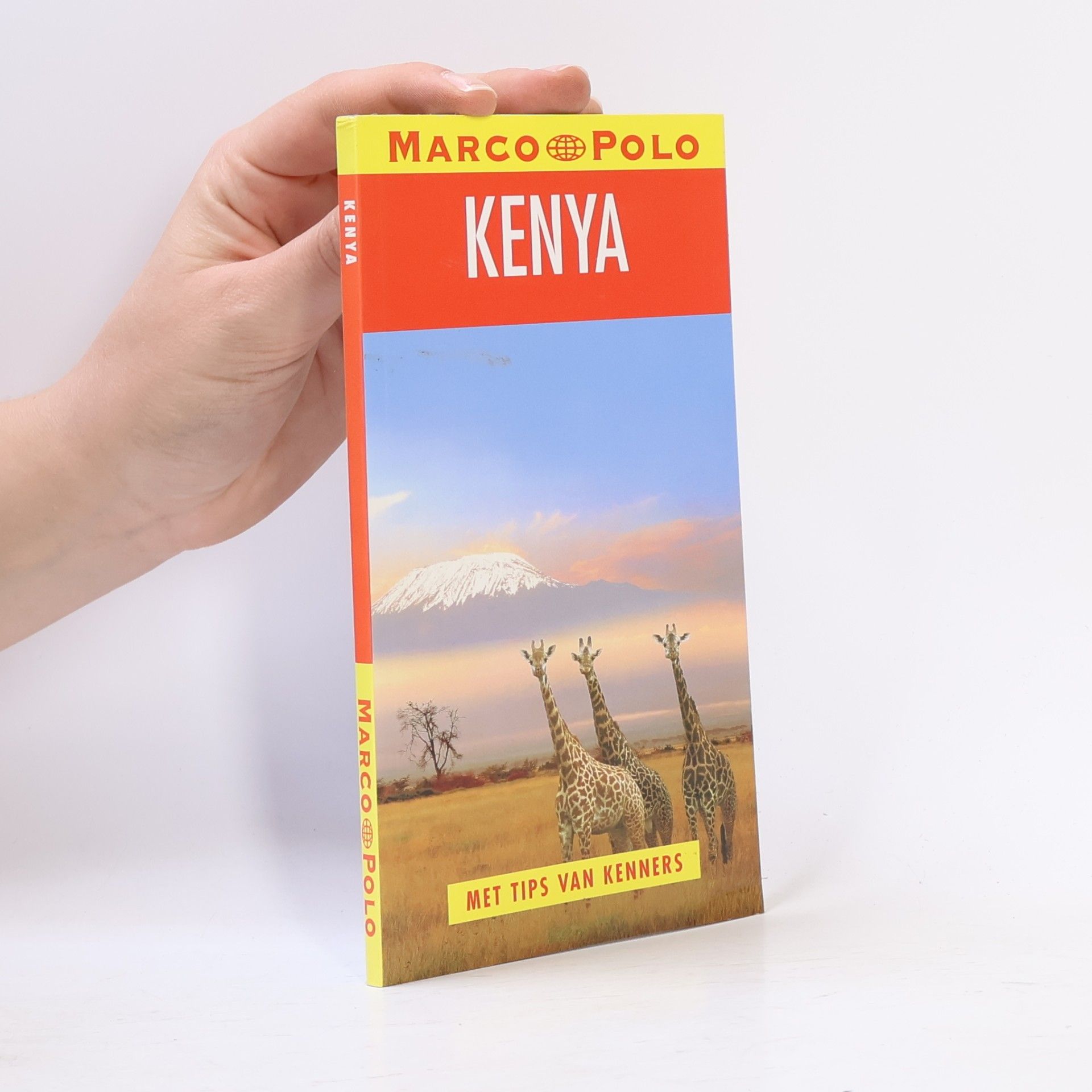 Helmut Grosse Kenya
