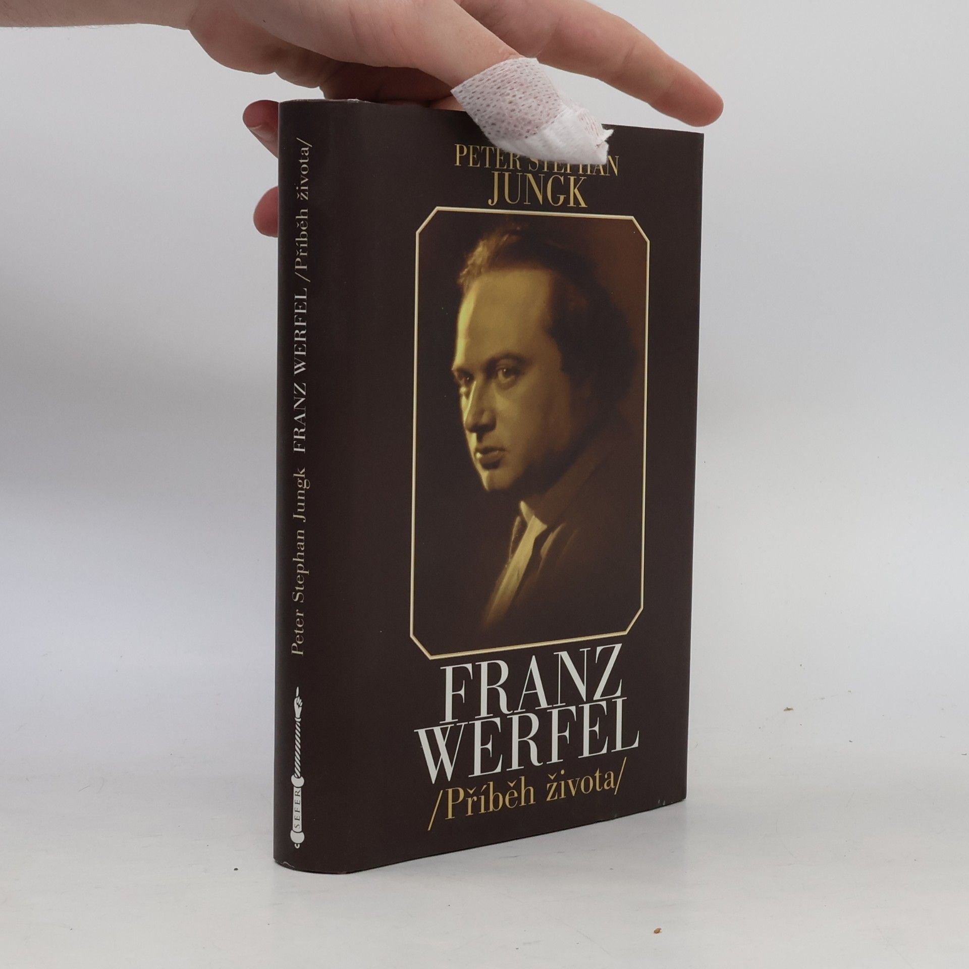 Peter Stephan Jungk Franz Werfel : příběh života