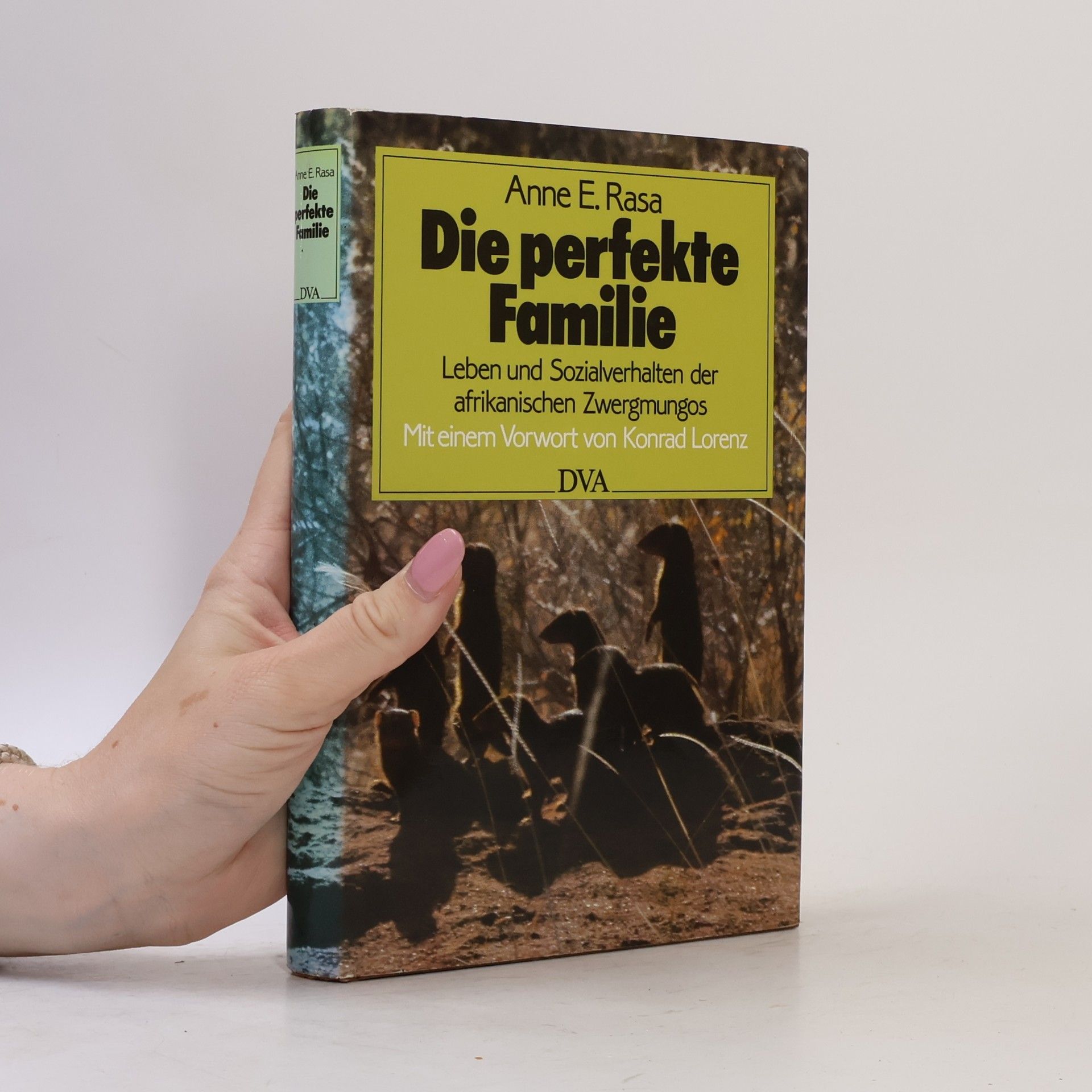 Anne Rasa Die perfekte Familie