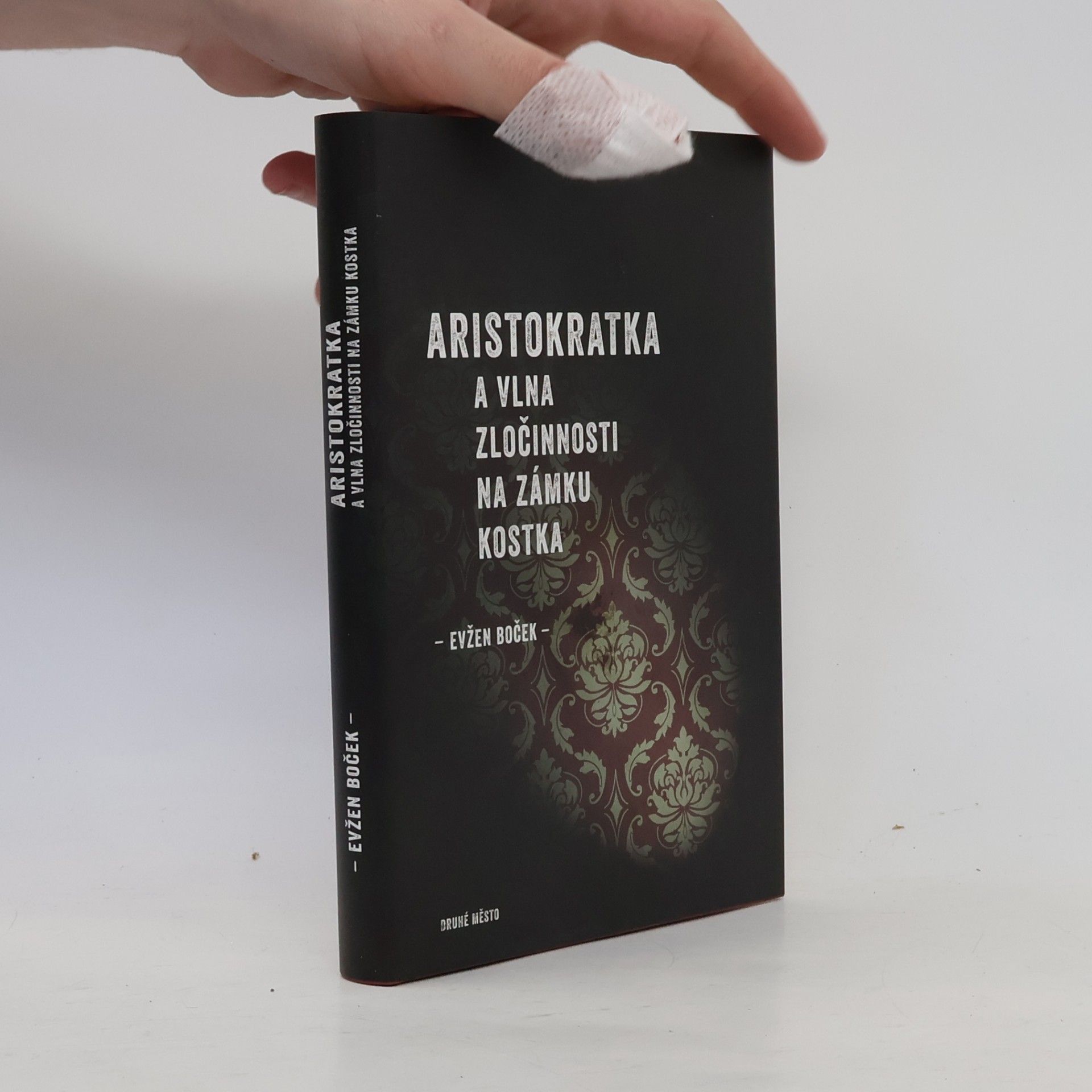 Evžen Boček Aristokratka a vlna zločinnosti na zámku Kostka