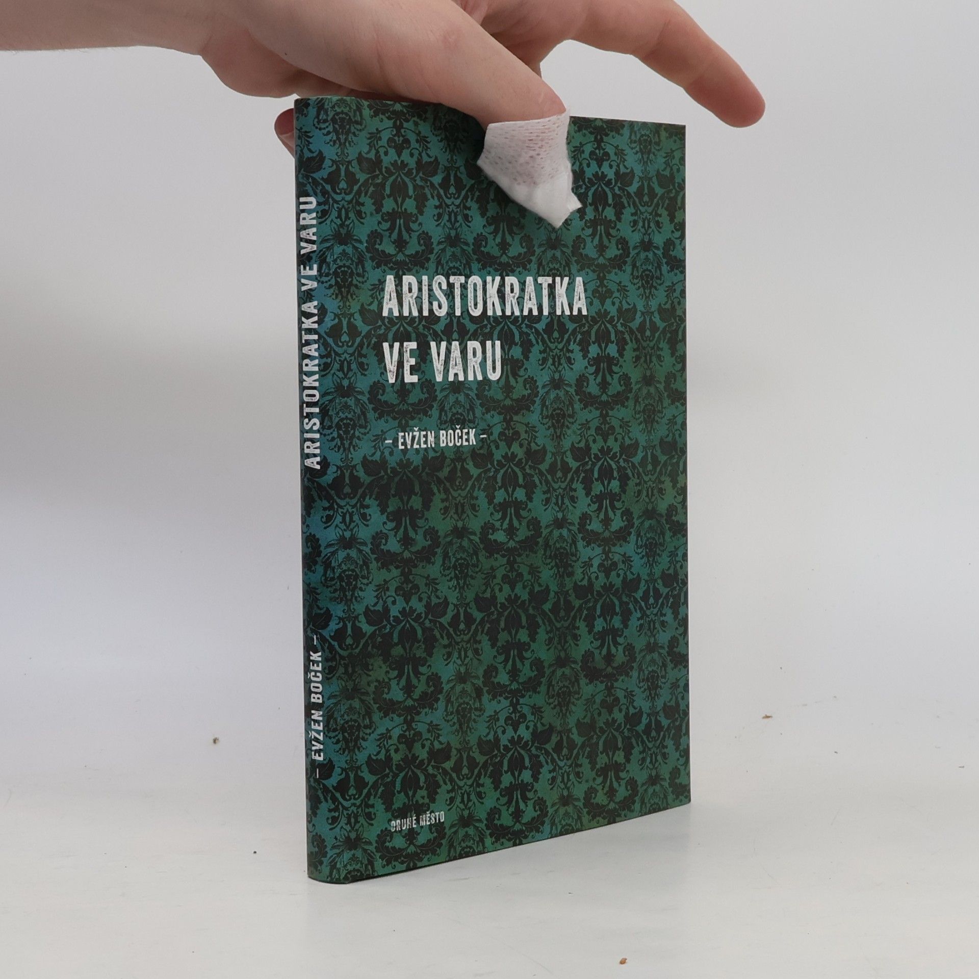 Evžen Boček Aristokratka ve varu