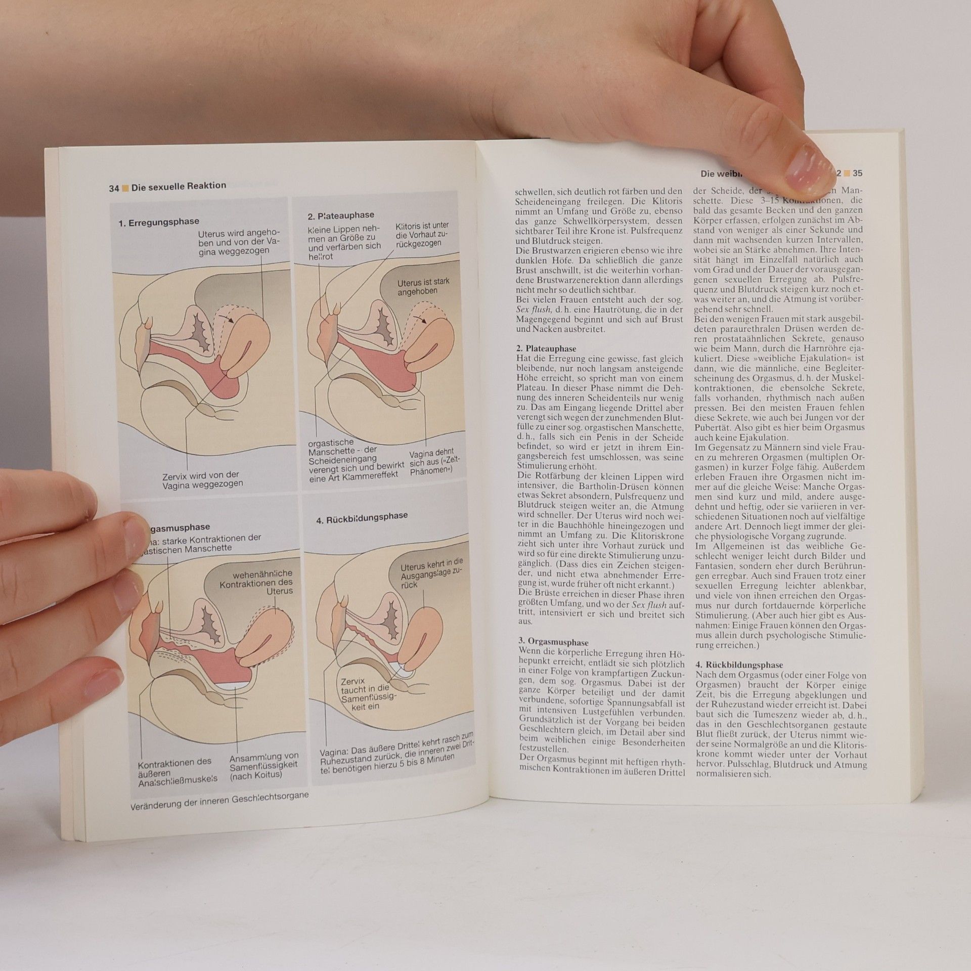 Erwin J. Haeberle dtv-Atlas Sexualität