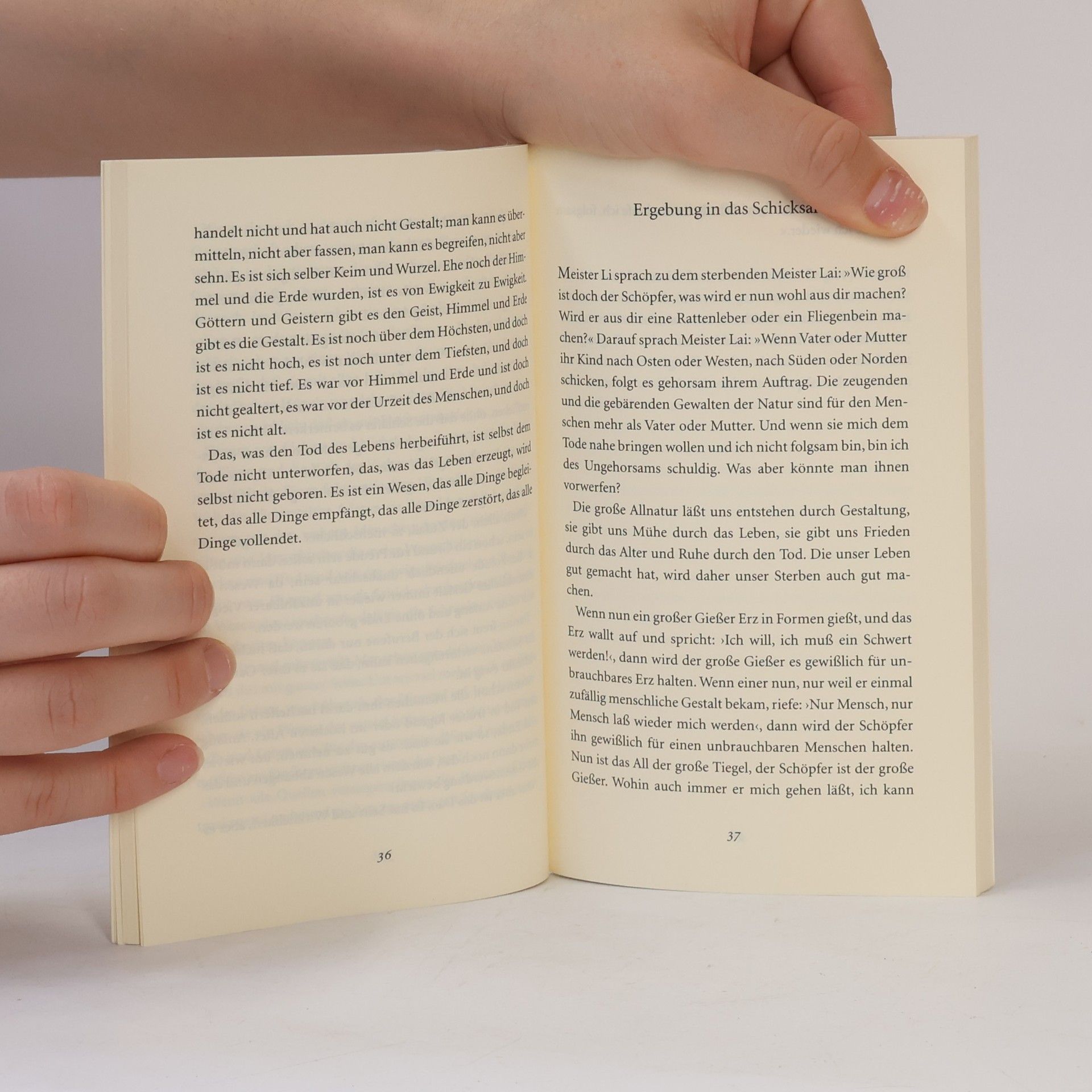 Zhuangzi Das höchste Glück