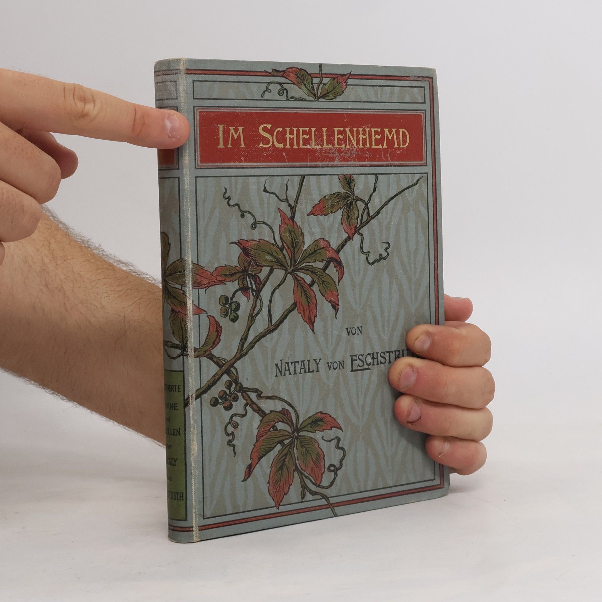Nataly von Eschstruth Im Schellenhemd
