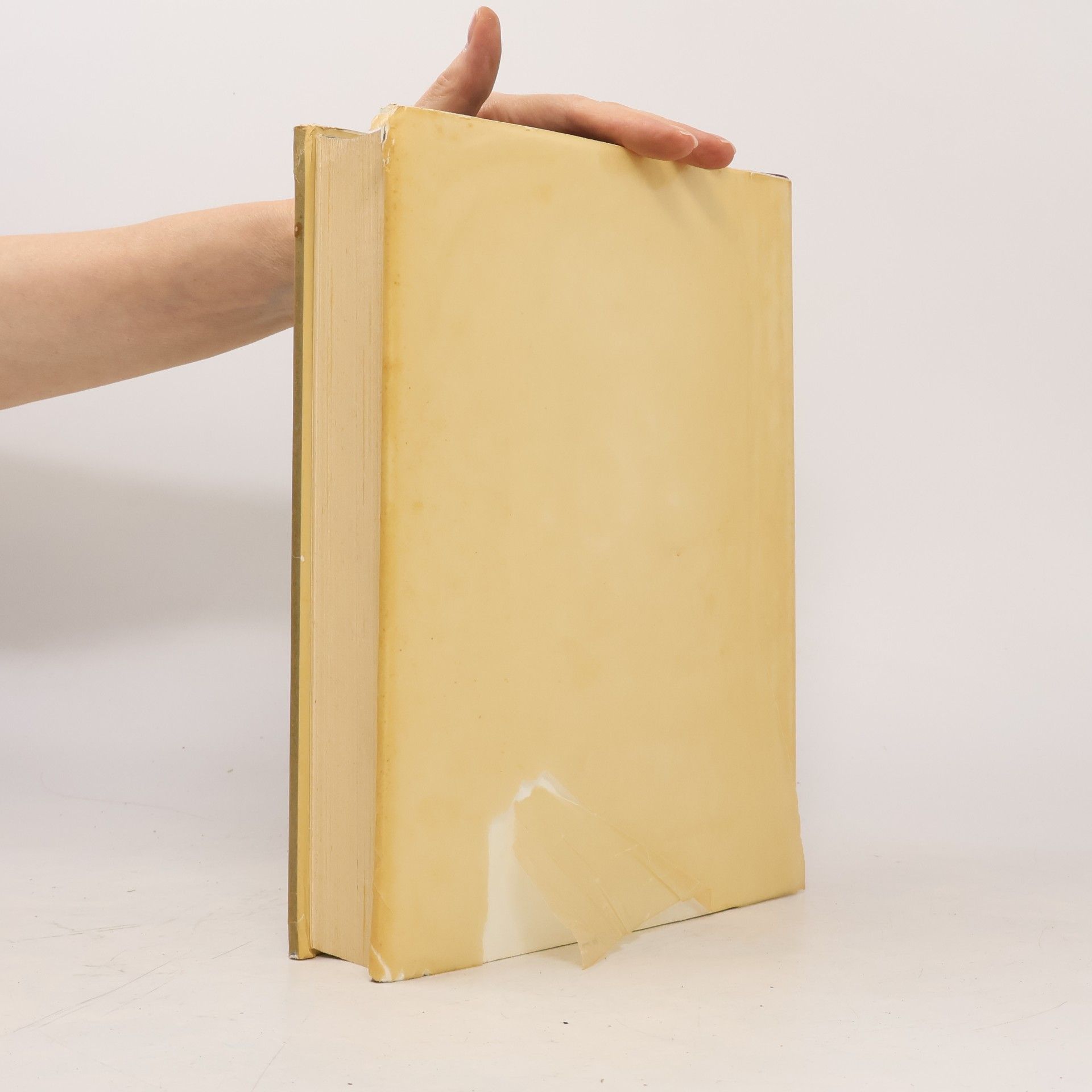 Josef Nadler Literaturgeschichte des deutschen Volkes 2