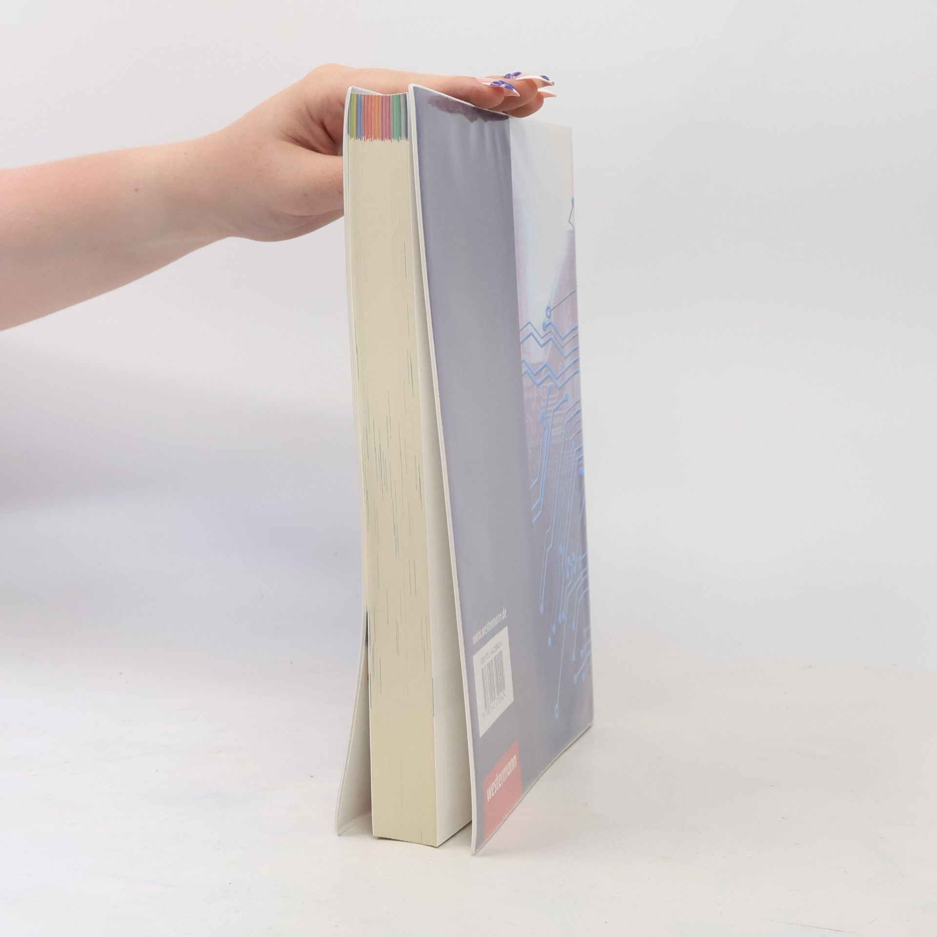 Klaus Richter IT-Handbuch IT-Systemelektroniker/-in, Fachinformatiker/-in