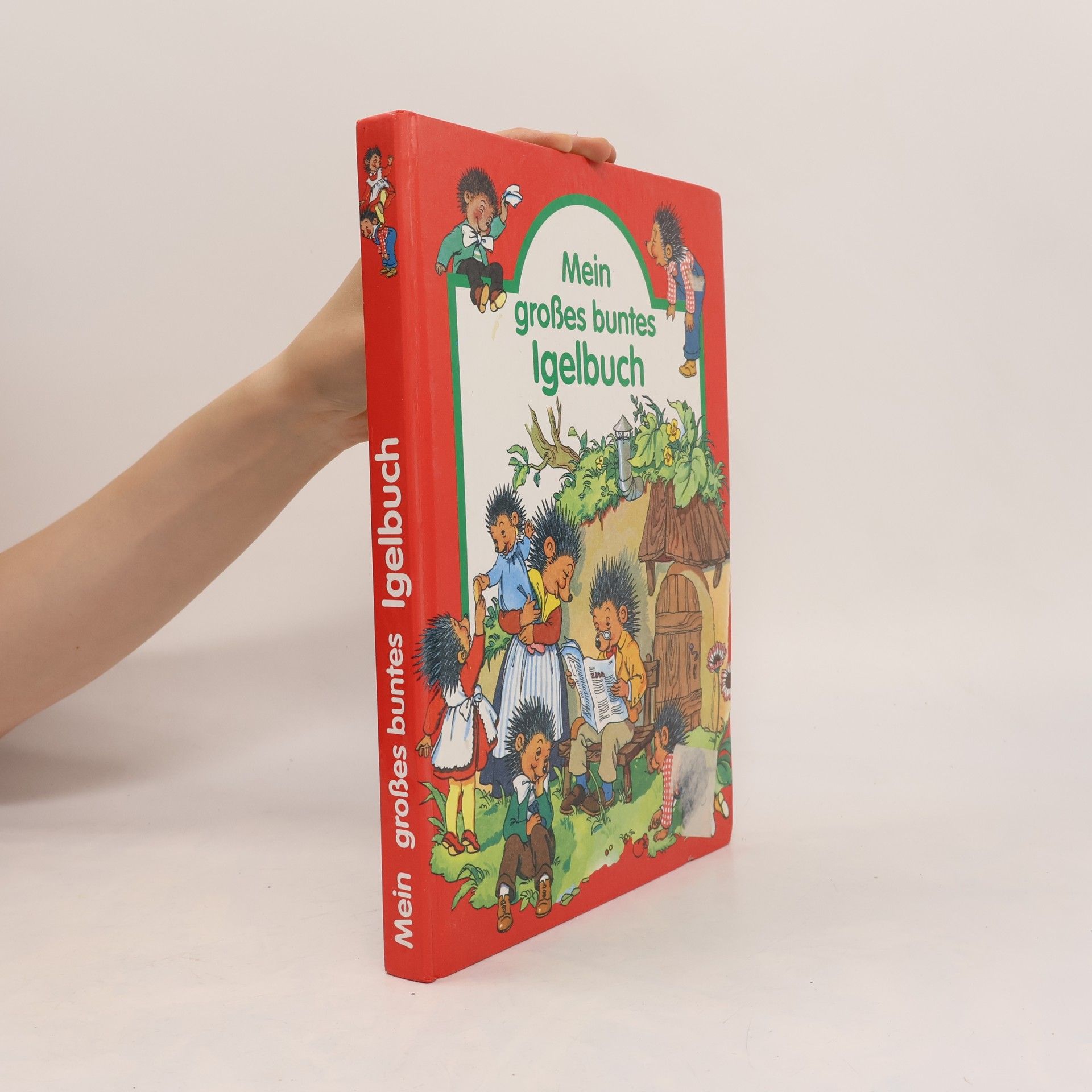 Enid Blyton Märchenwunderland