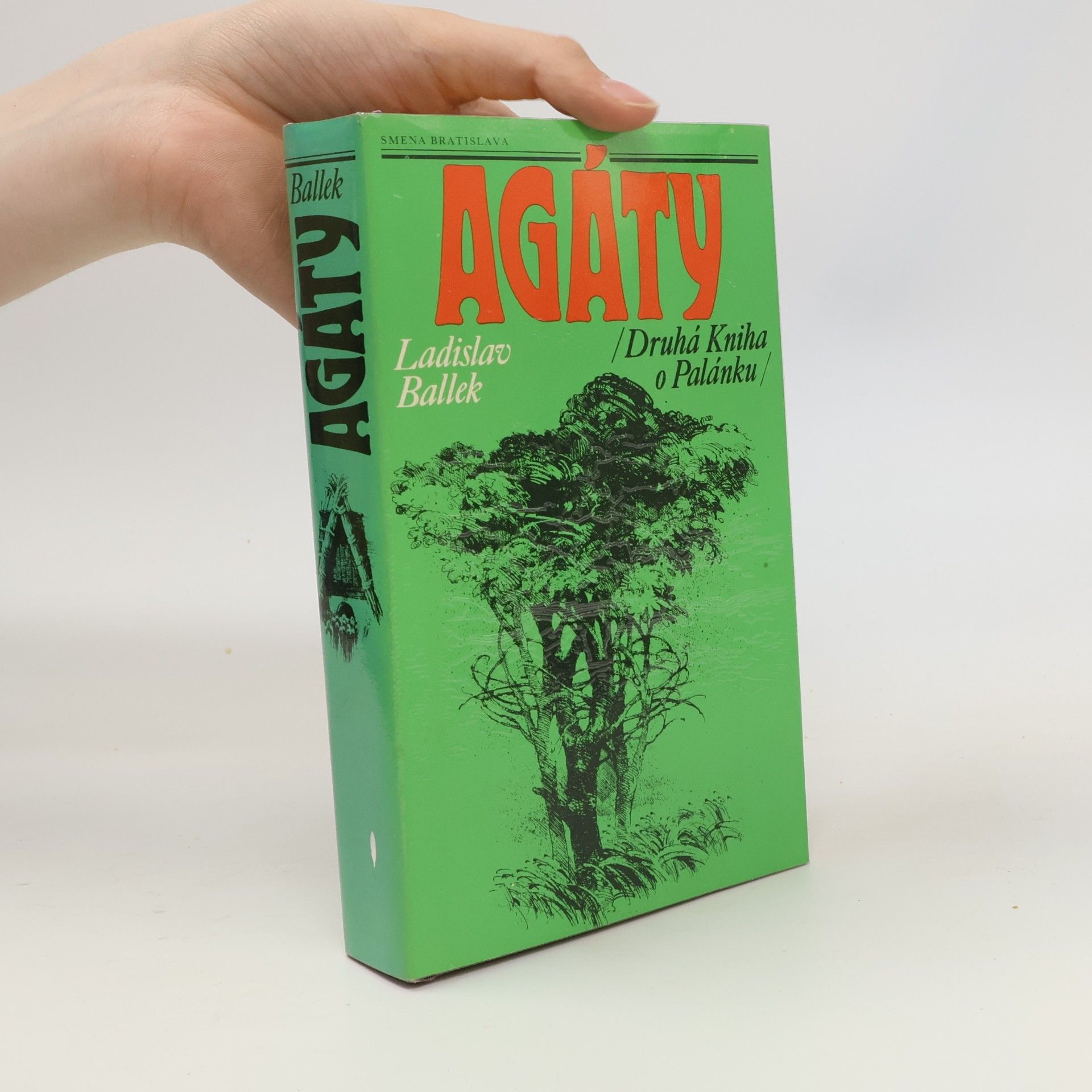 Ladislav Ballek Agáty