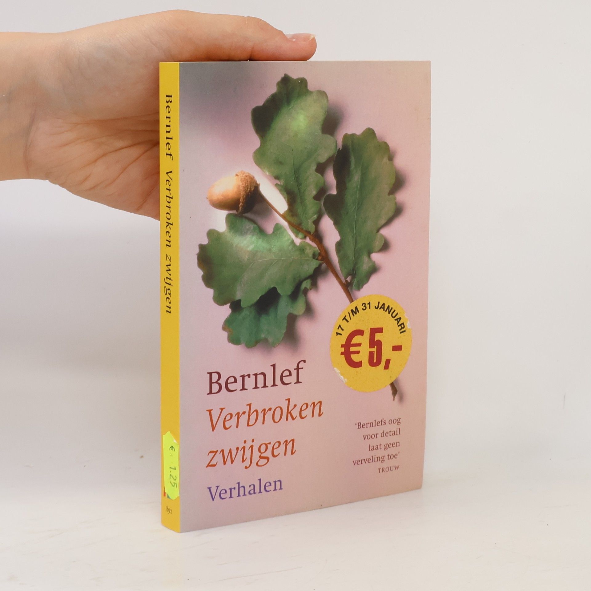 J. Bernlef Rainbow pocketboeken - 892: Verbroken zwijgen