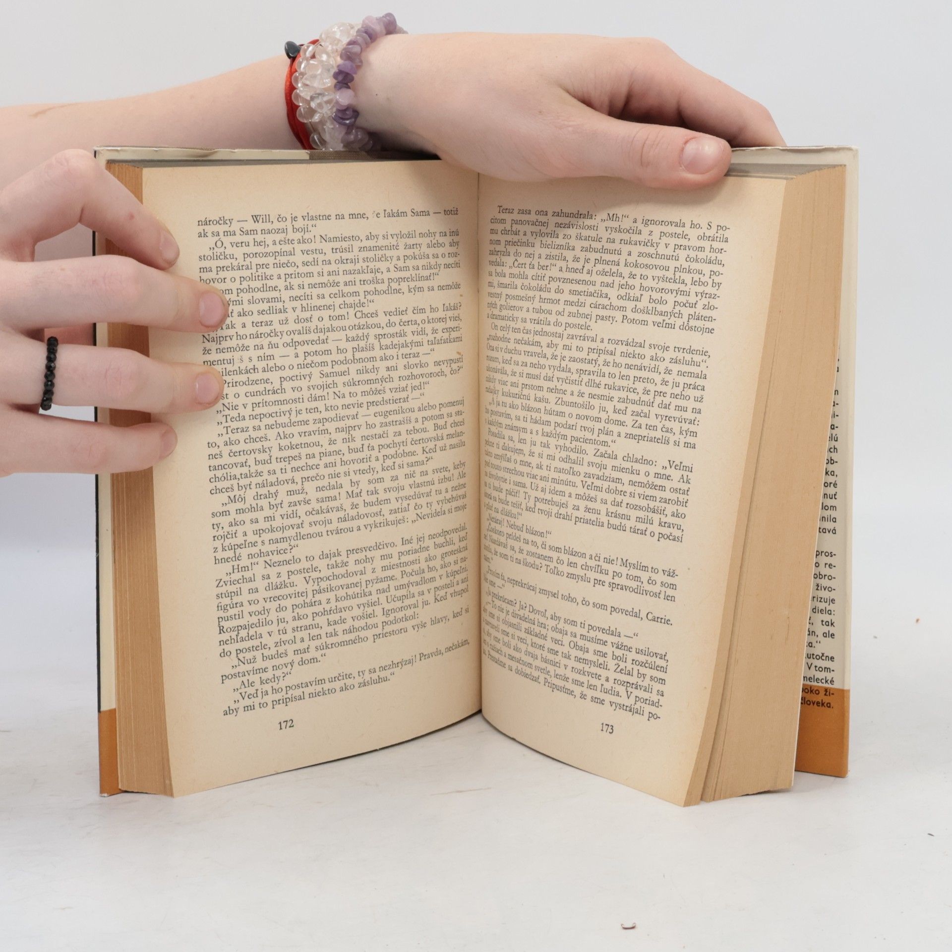 Sinclair Lewis Hlavná ulica