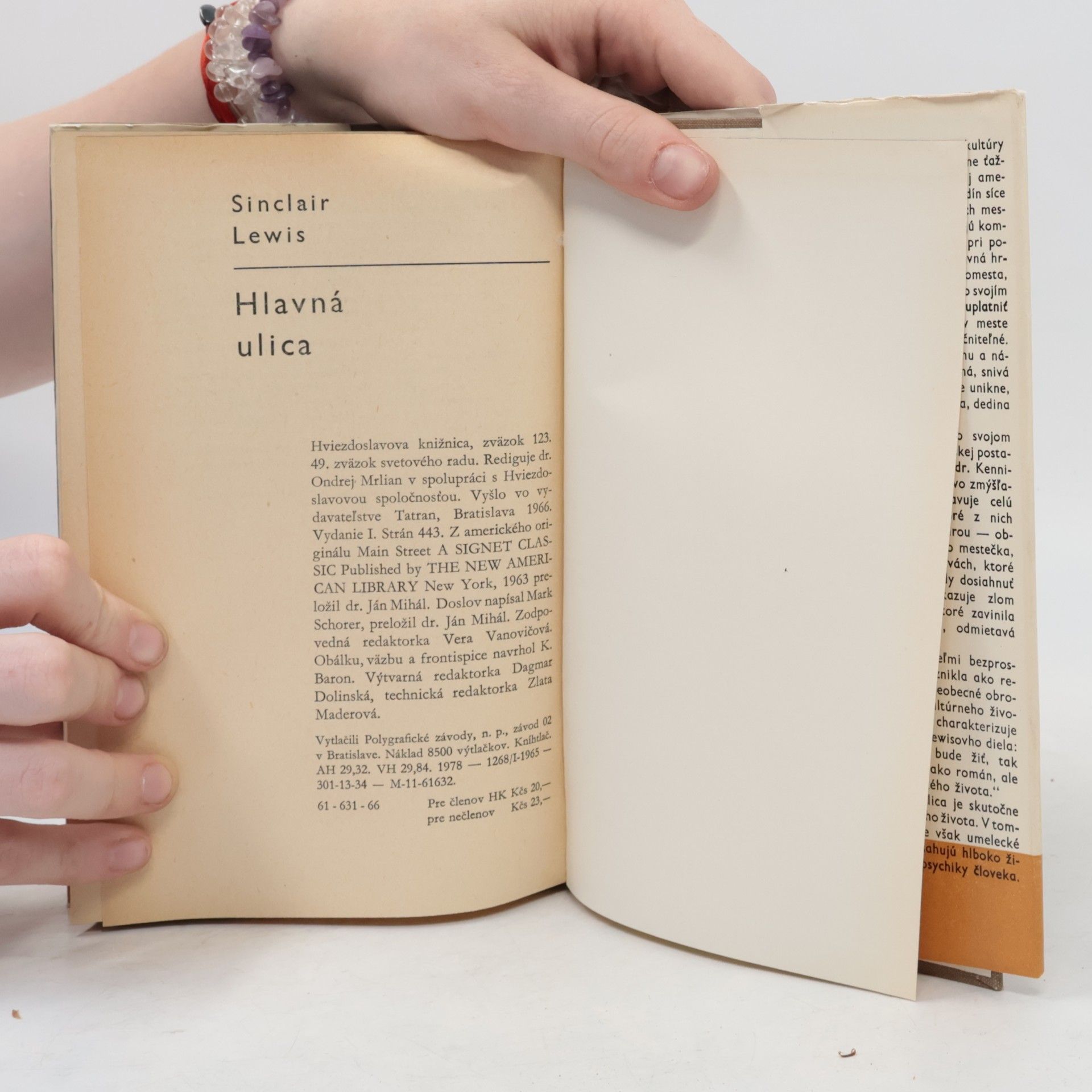 Sinclair Lewis Hlavná ulica