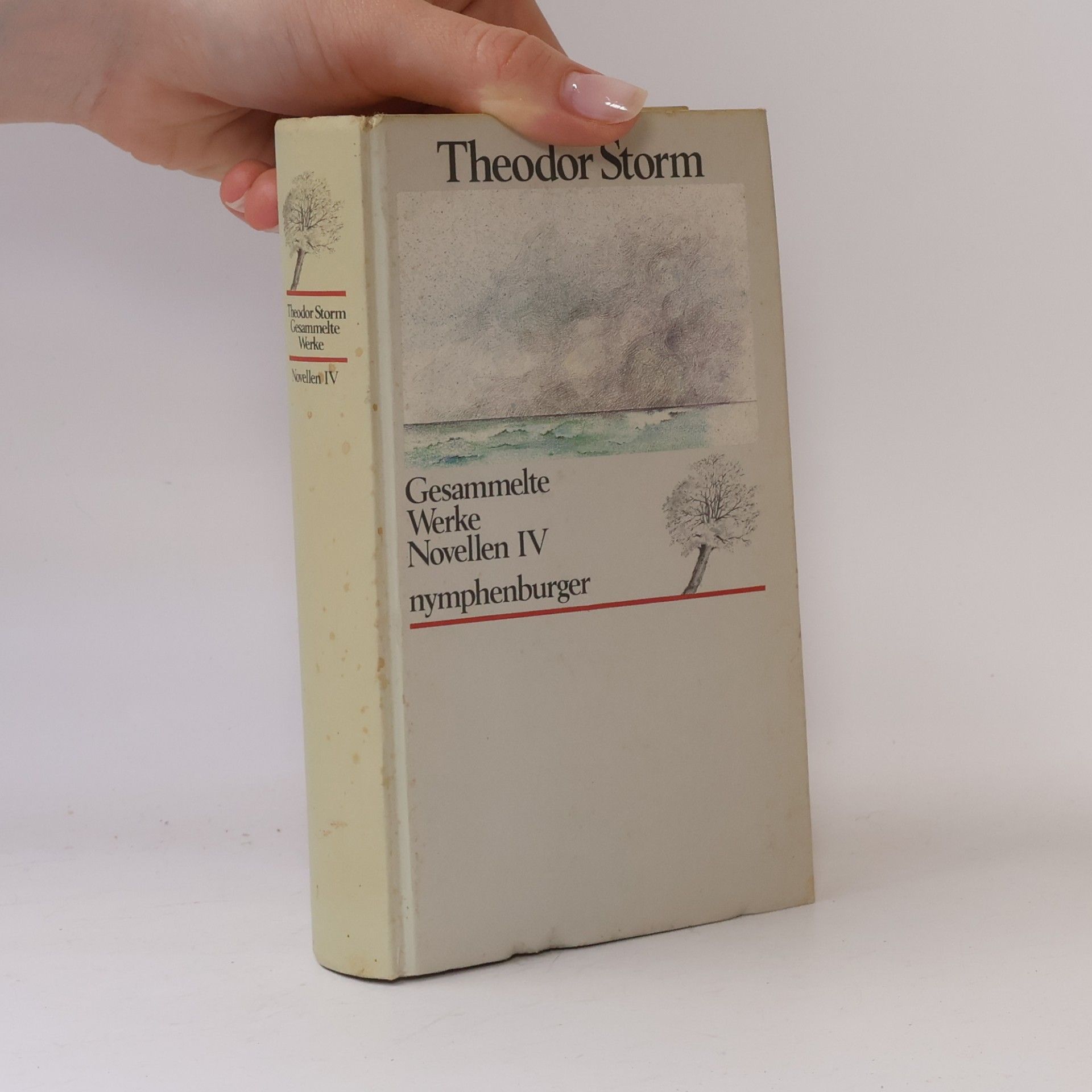 Theodor Storm Gesammelte Werke Novellen IV