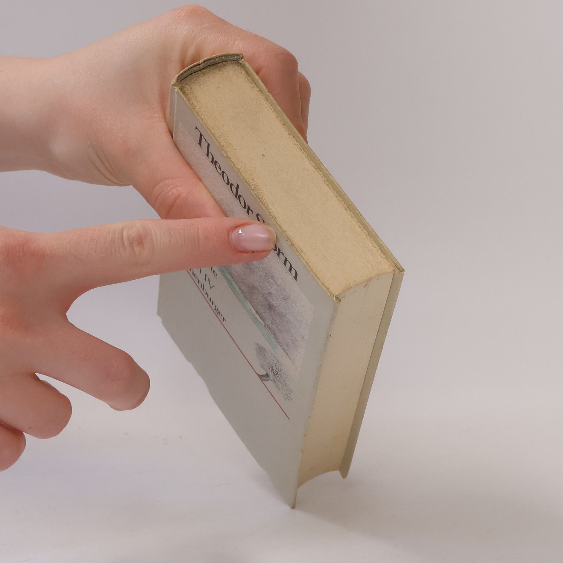 Theodor Storm Gesammelte Werke Novellen IV