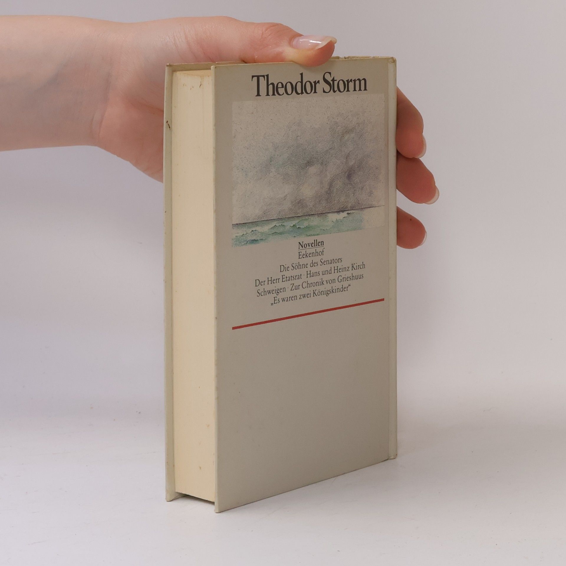 Theodor Storm Gesammelte Werke Novellen IV