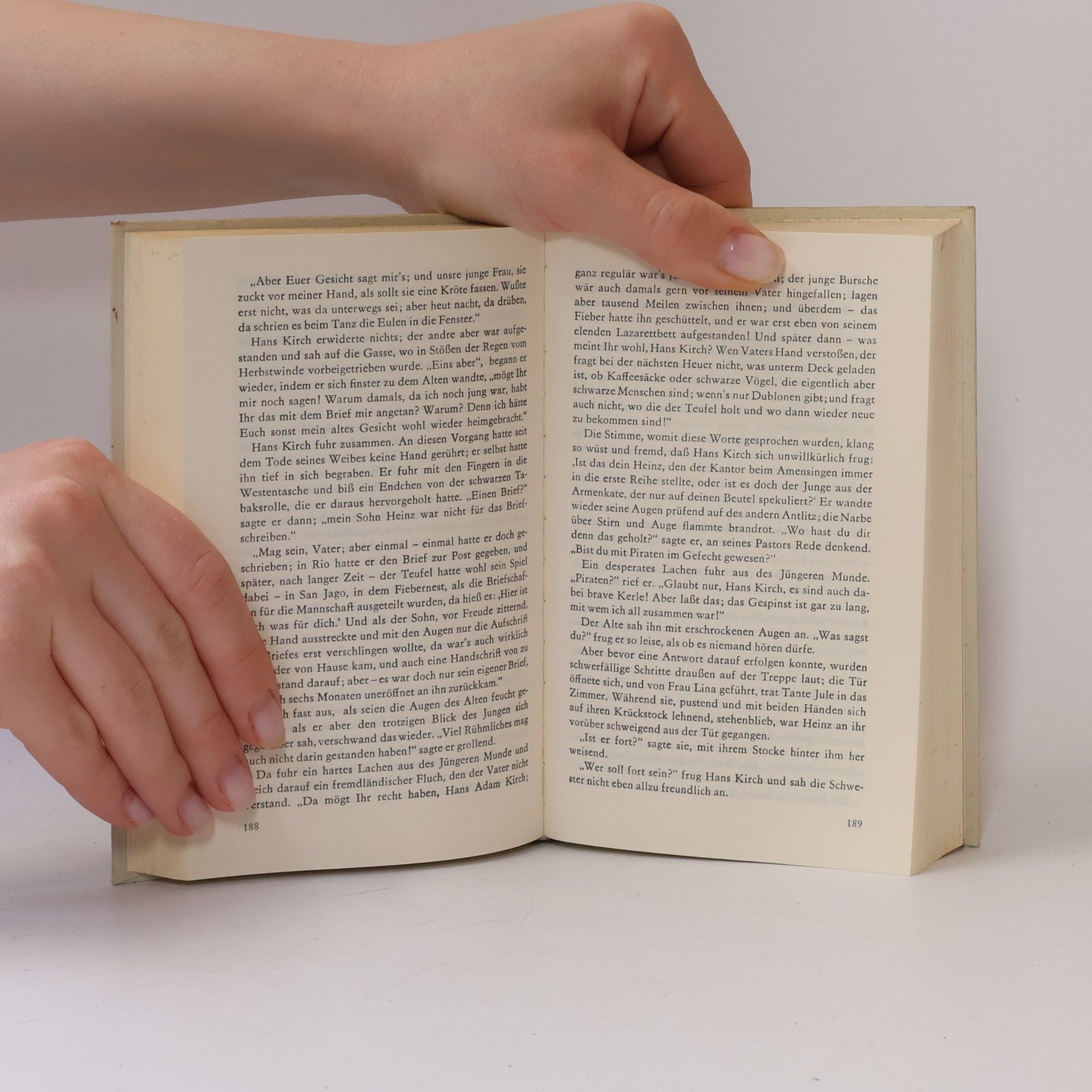 Theodor Storm Gesammelte Werke Novellen IV