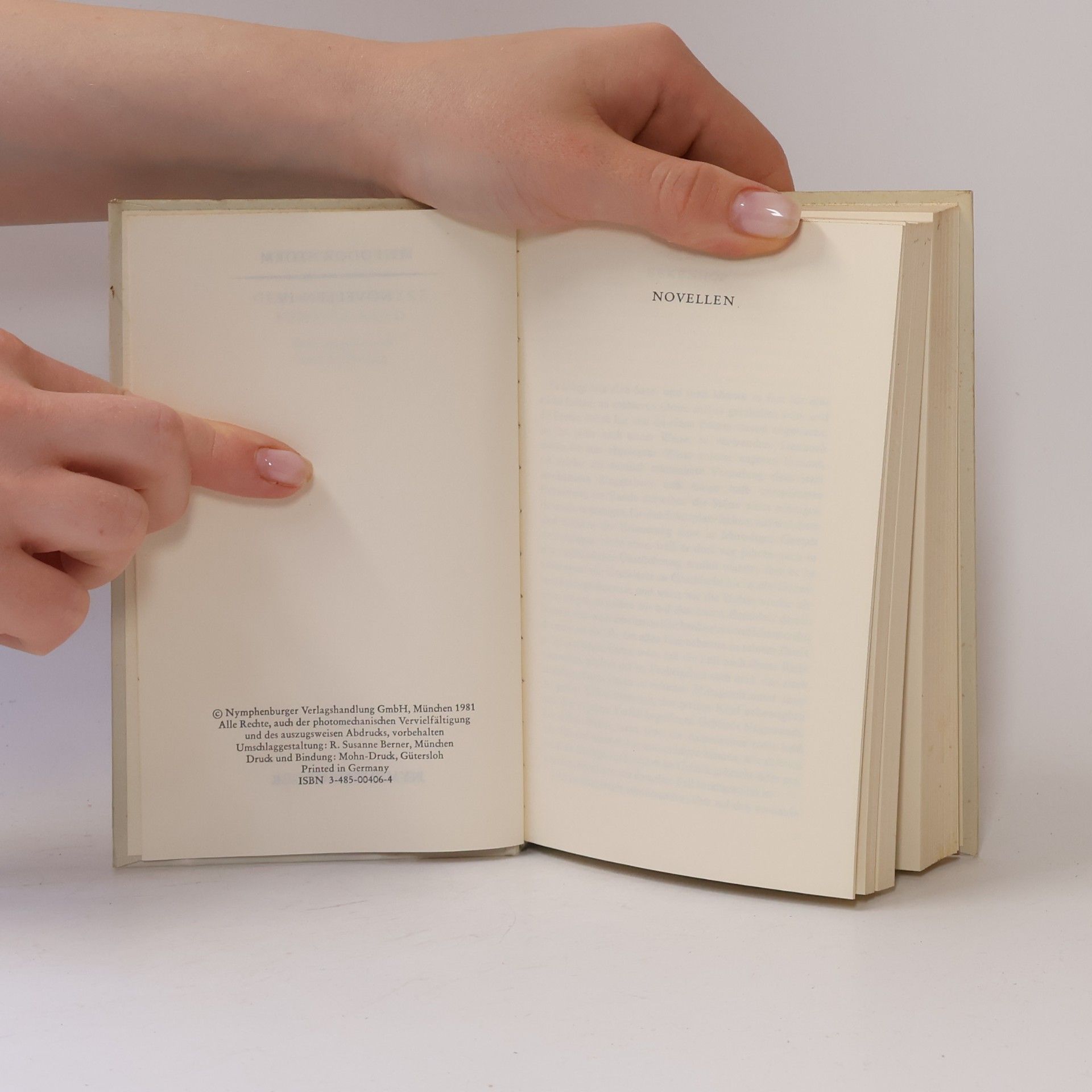 Theodor Storm Gesammelte Werke Novellen IV