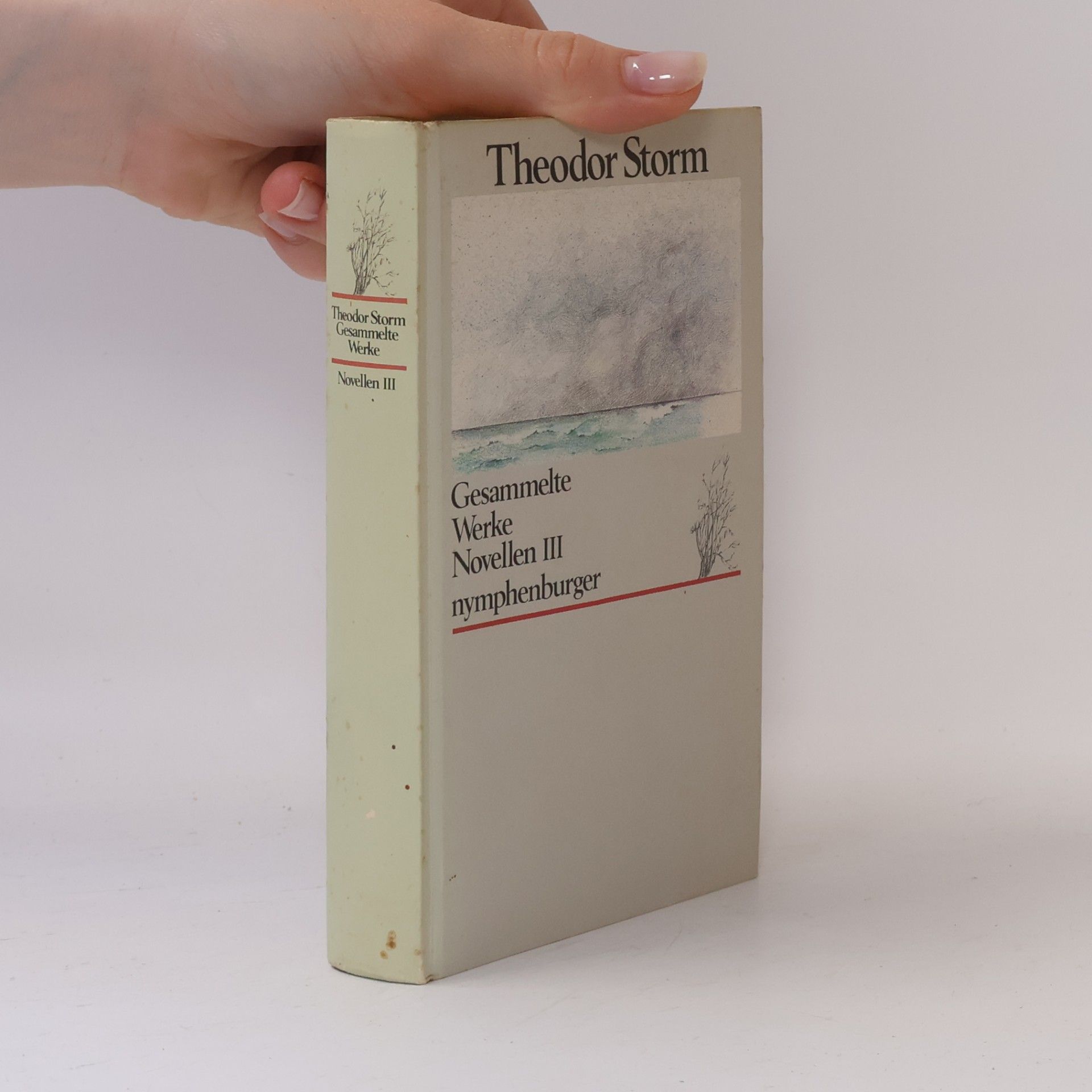 Theodor Storm Gesammelte Werke: Novellen III