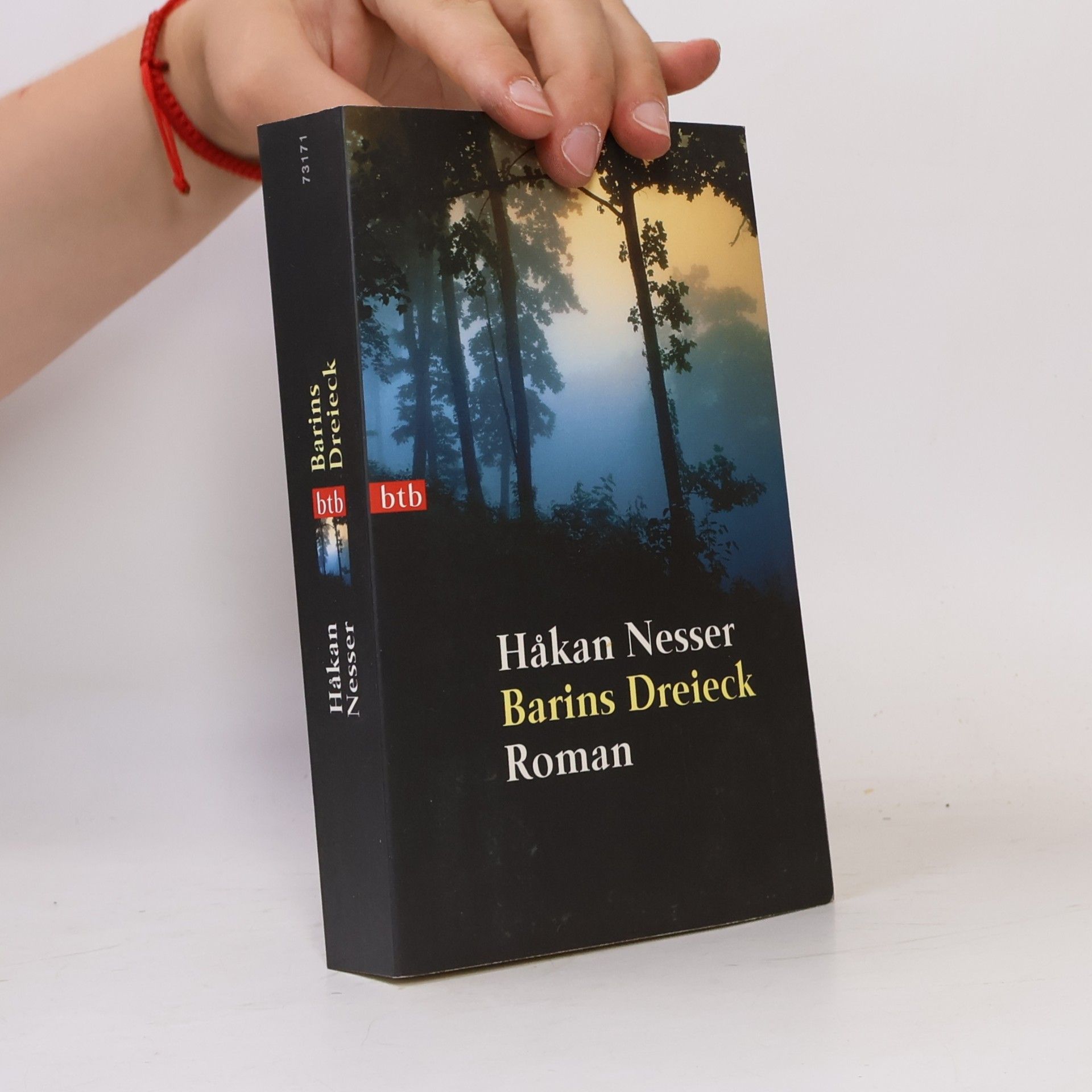 Håkan Nesser Barins Dreieck