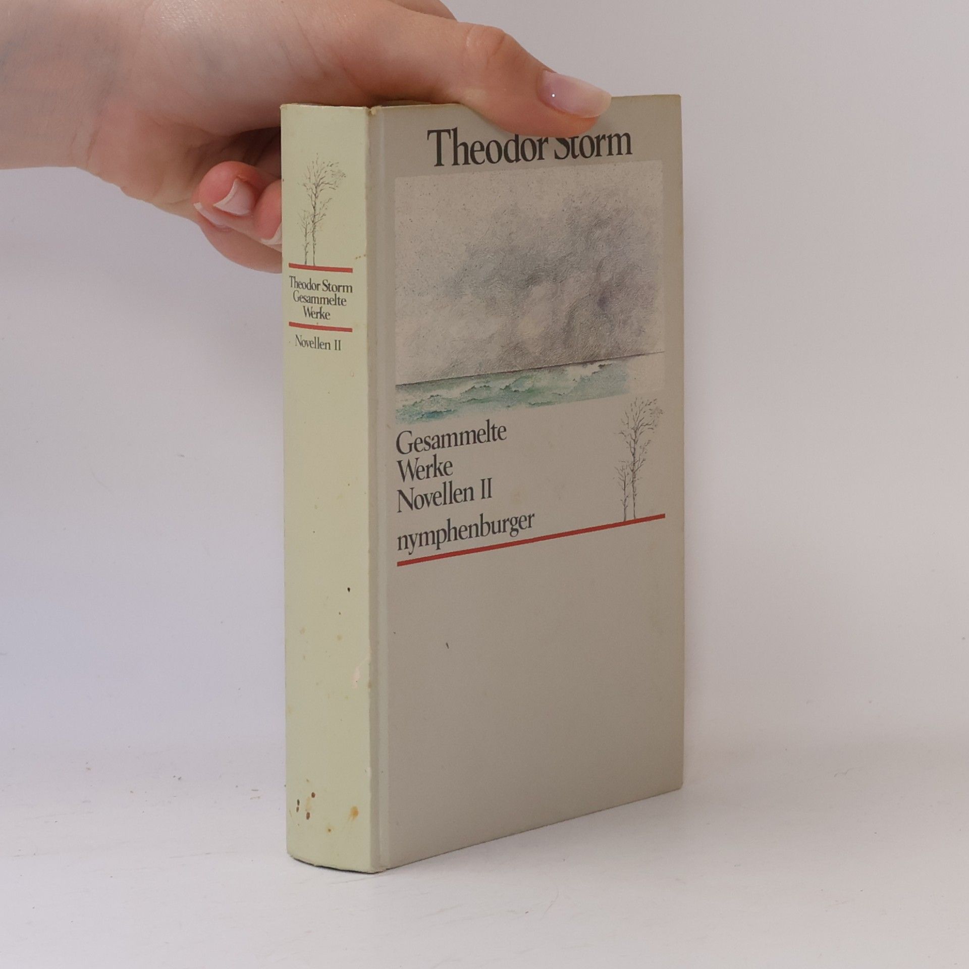 Theodor Storm Gesammelte Werke Novellen II