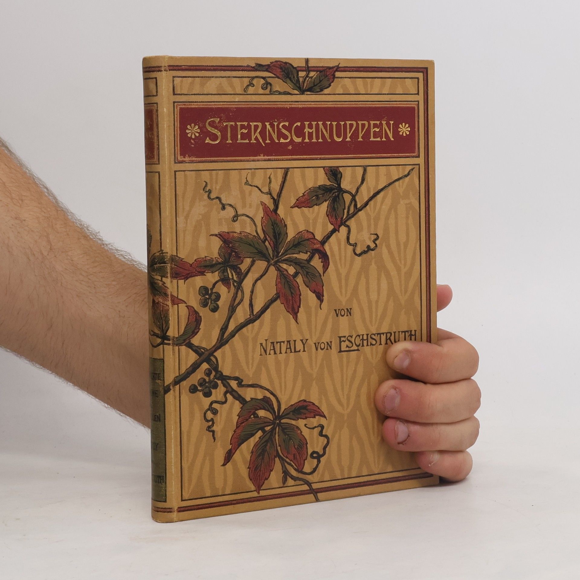 Nataly von Eschskruth Sternschnuppen