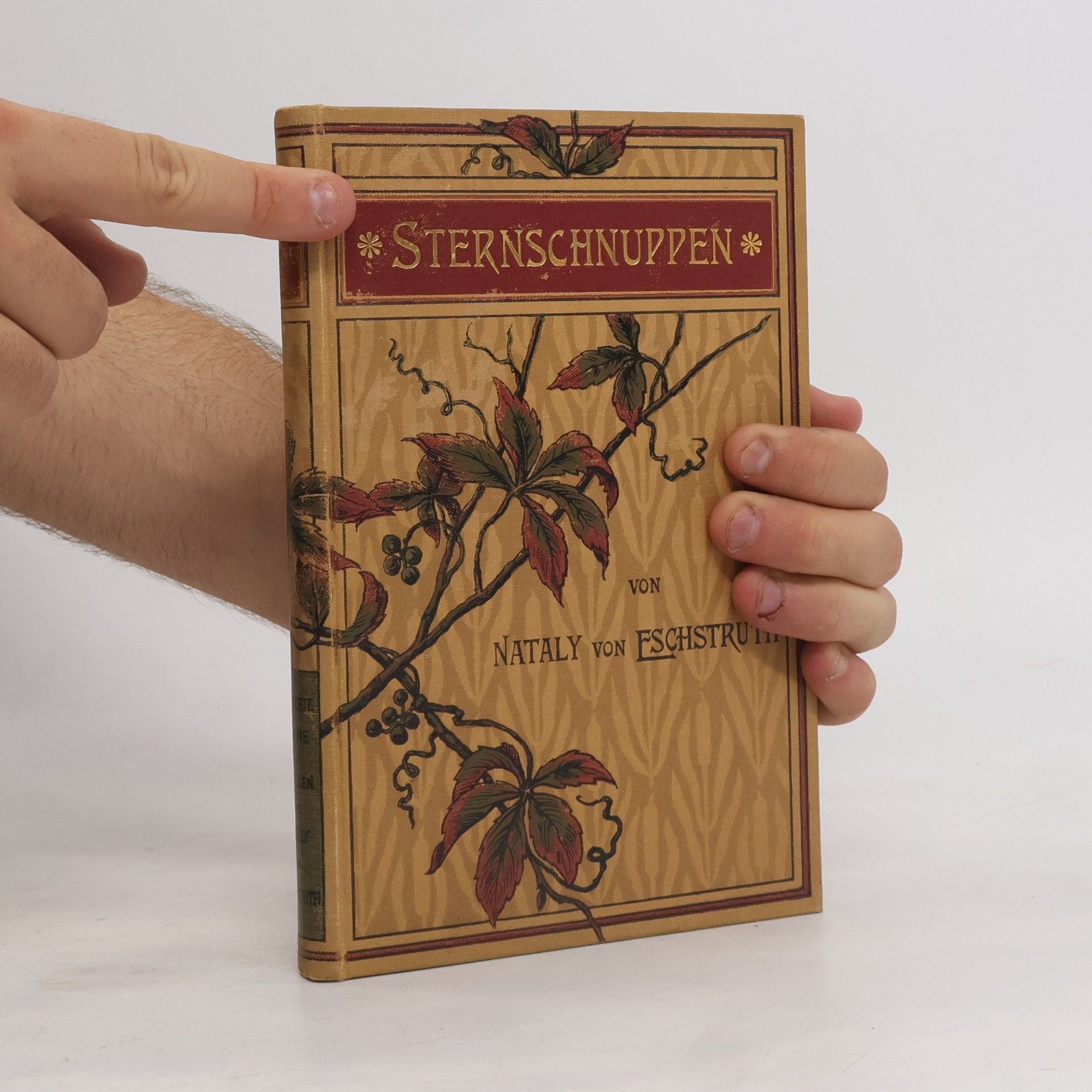 Nataly von Eschskruth Sternschnuppen