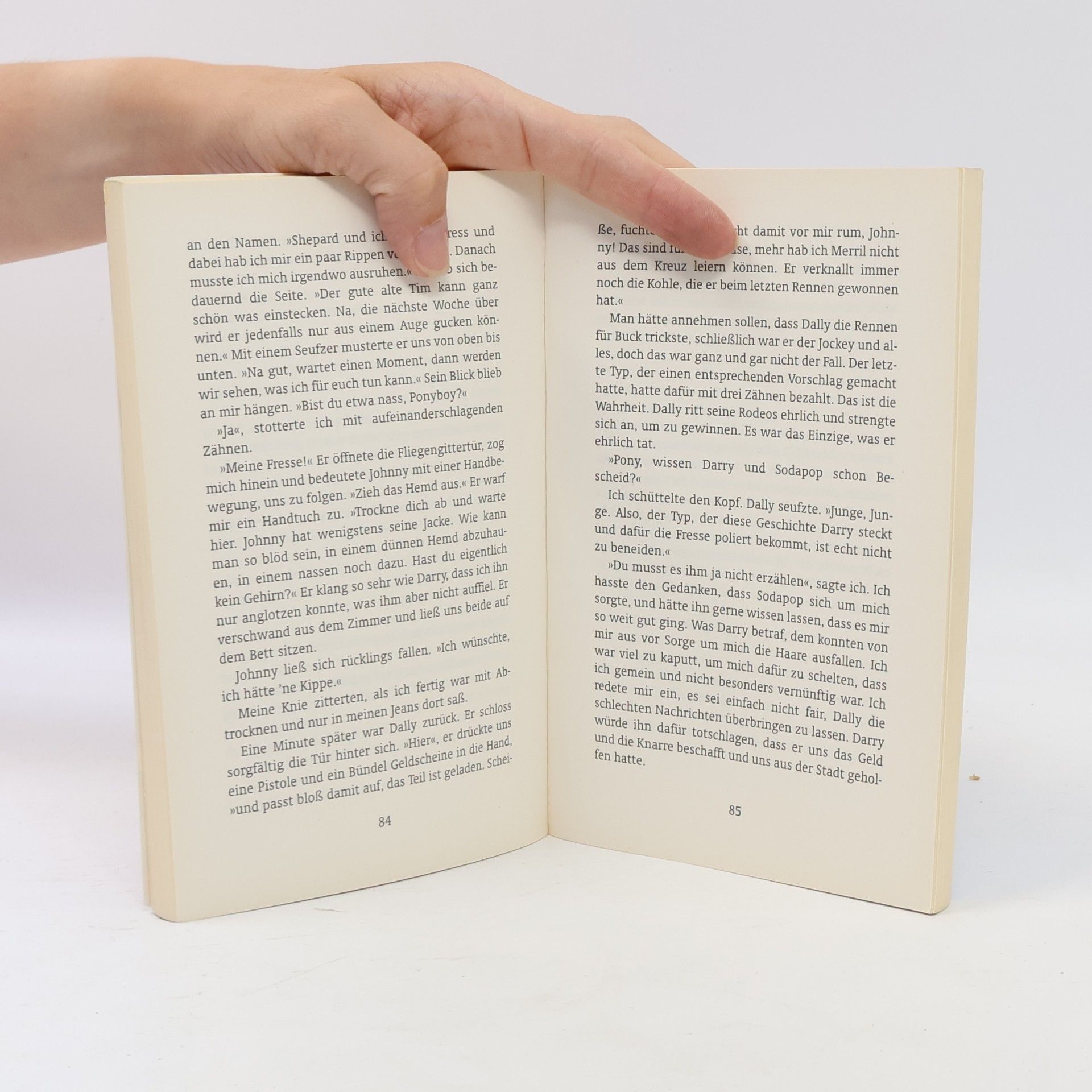 S. E. Hinton Die Outsider