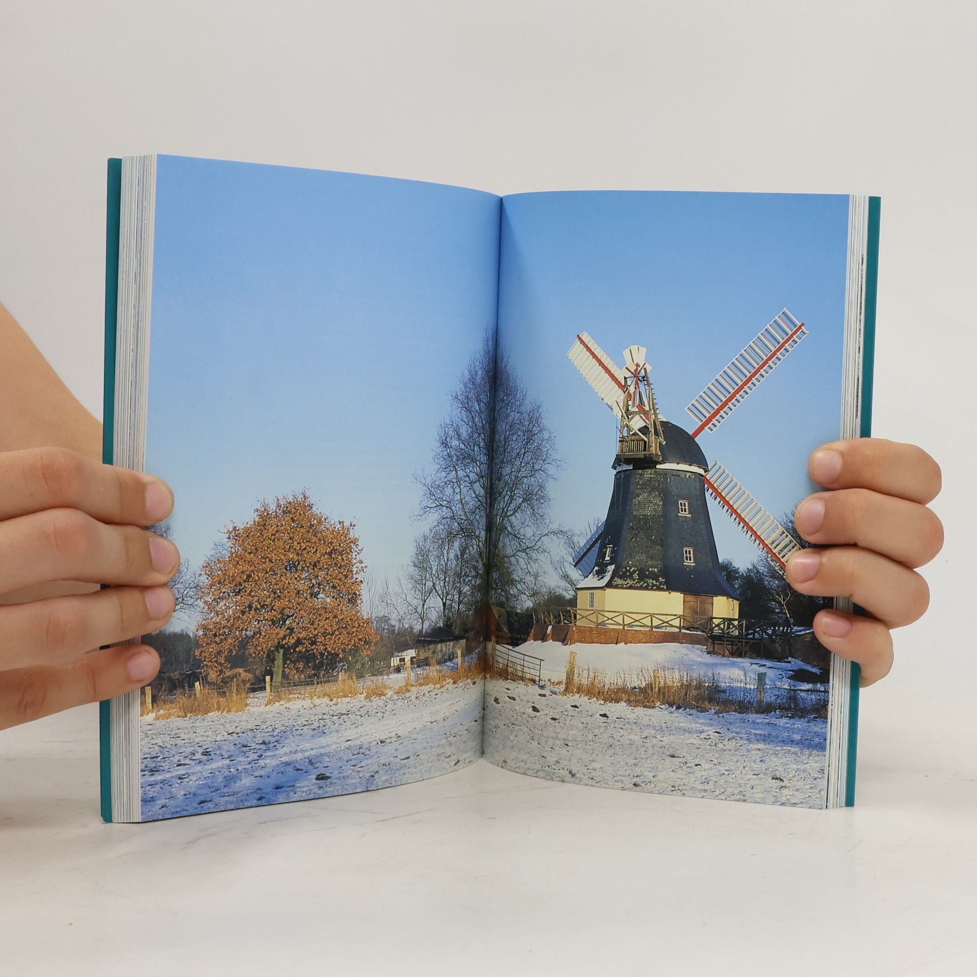 Helga Bürster Das Kohl-&-Pinkel-Buch