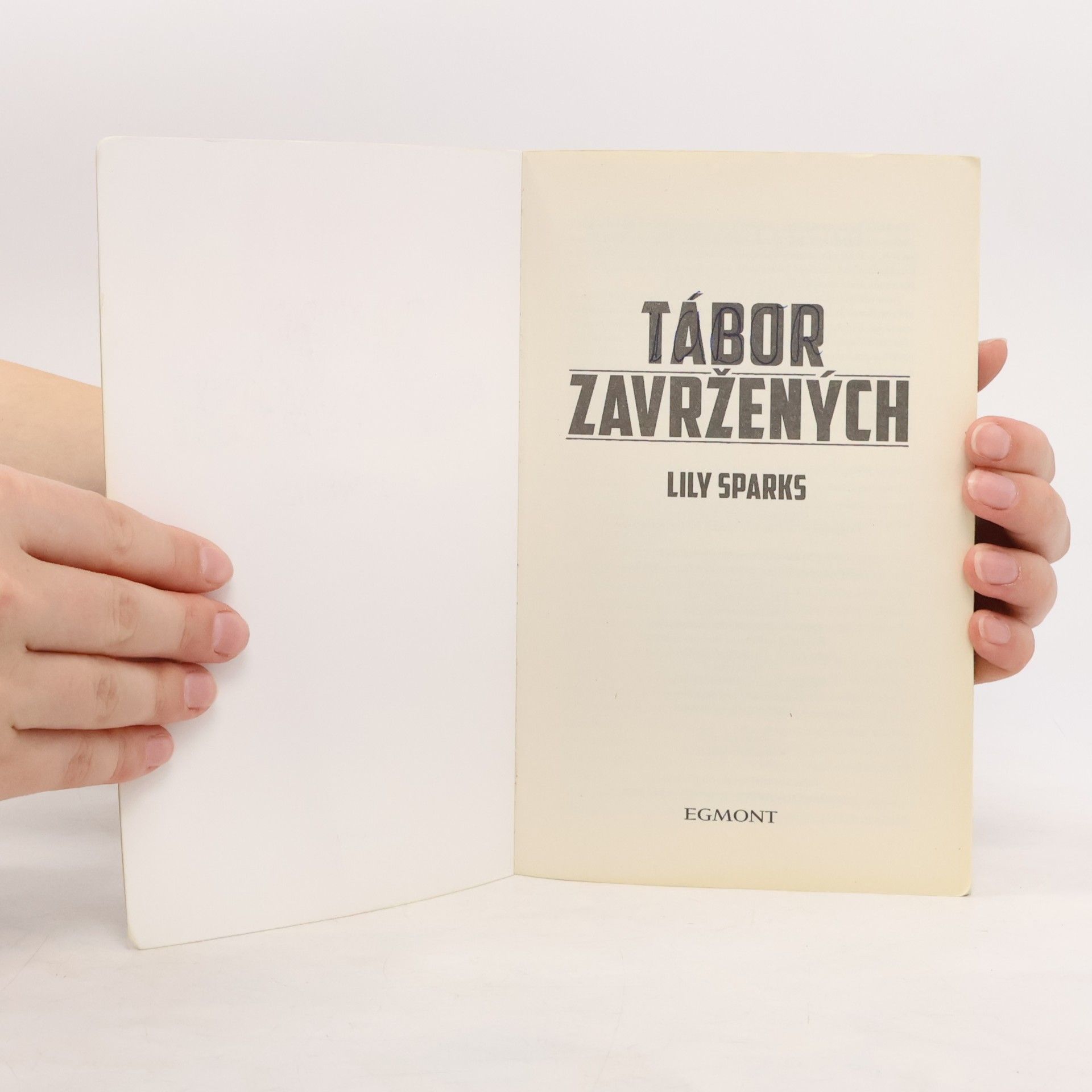 Lily Sparks Tábor zavržených