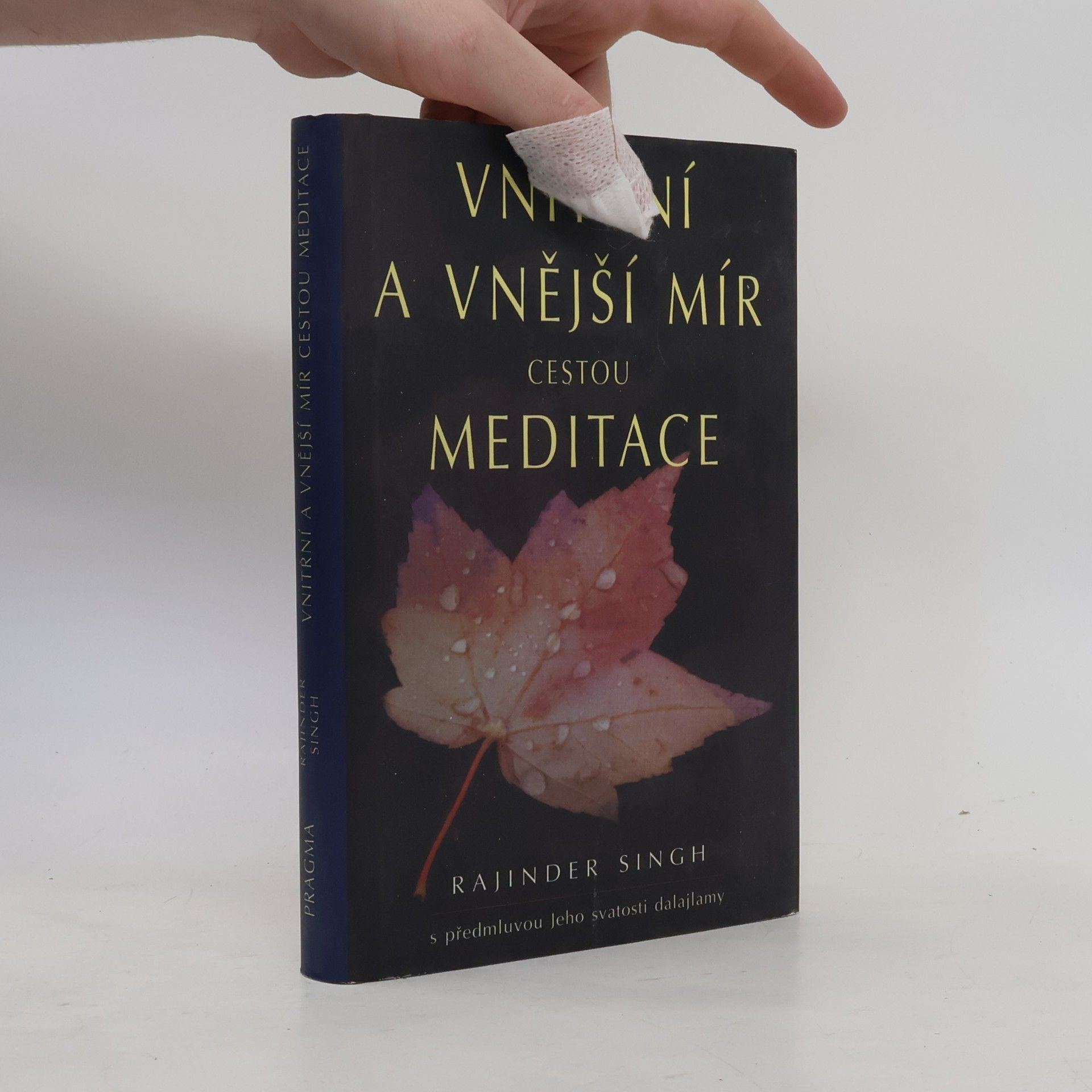 svatý Rajinder Singh Vnitřní a vnější mír cestou meditace