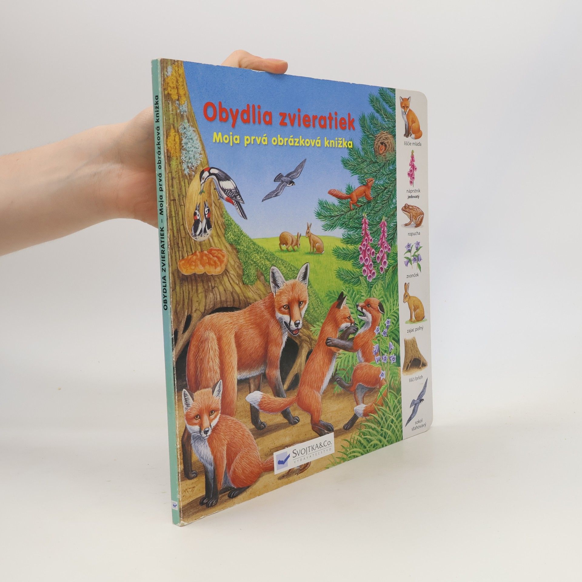 Autorenkollektiv Obydlia zvieratiek - Moja prvá obrázková knižka