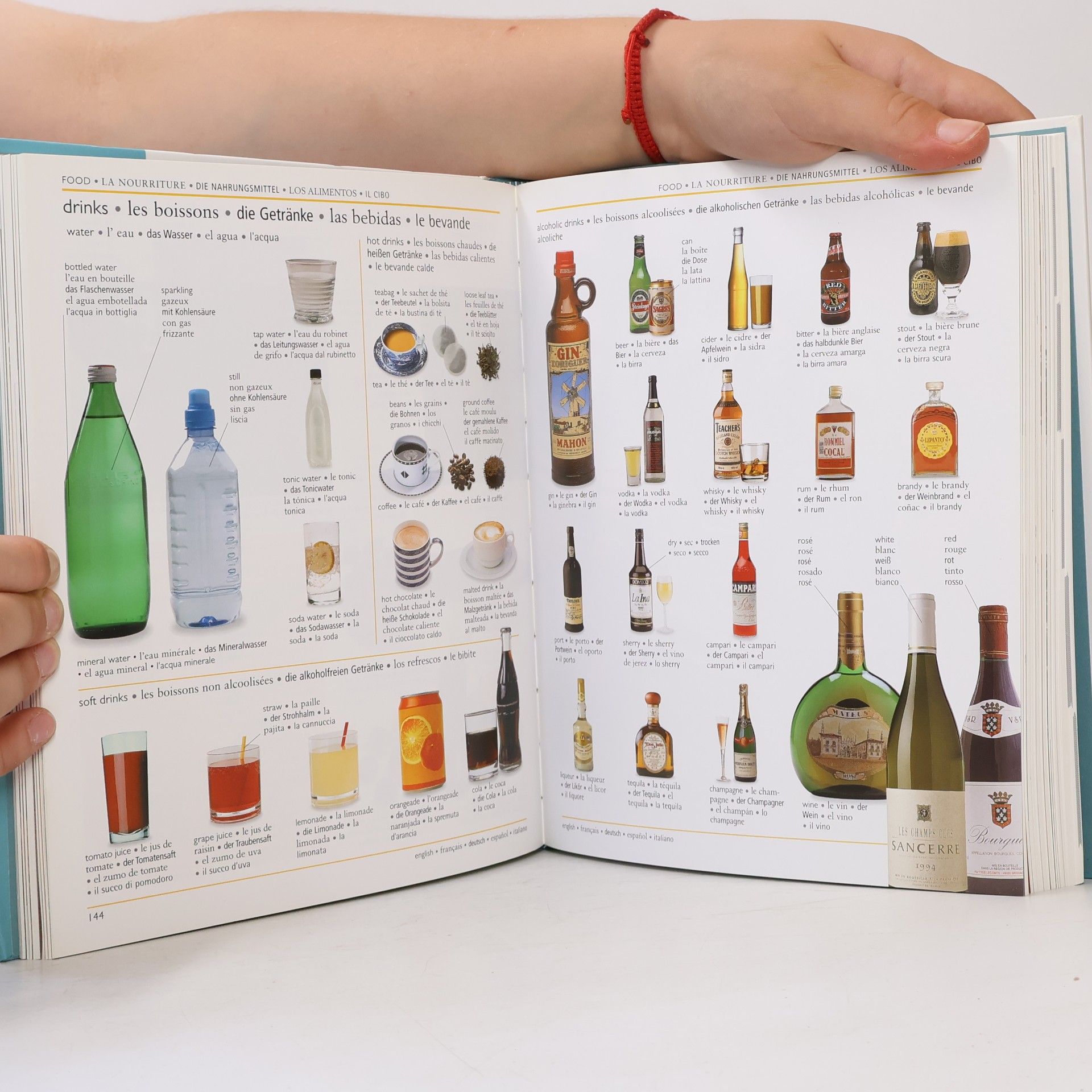 Arturo Pretel Das große visuelle Wörterbuch