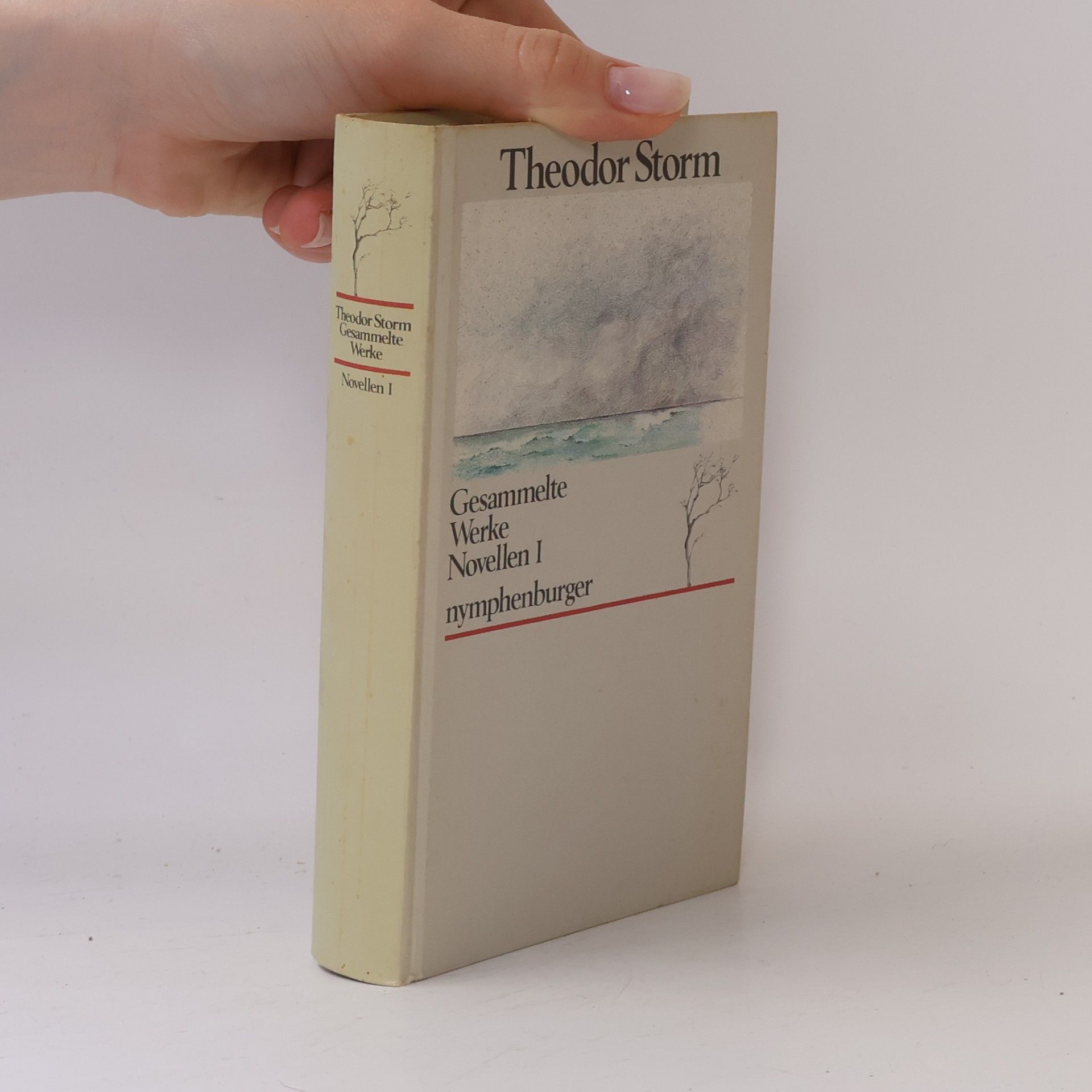 Theodor Storm Gesammelte Werke: Novellen I