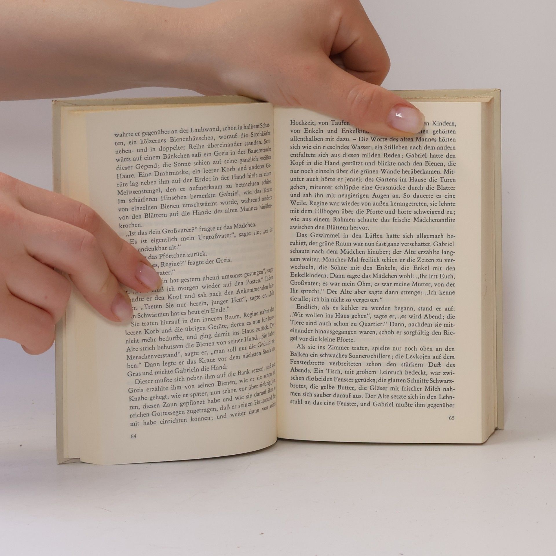 Theodor Storm Gesammelte Werke: Novellen I