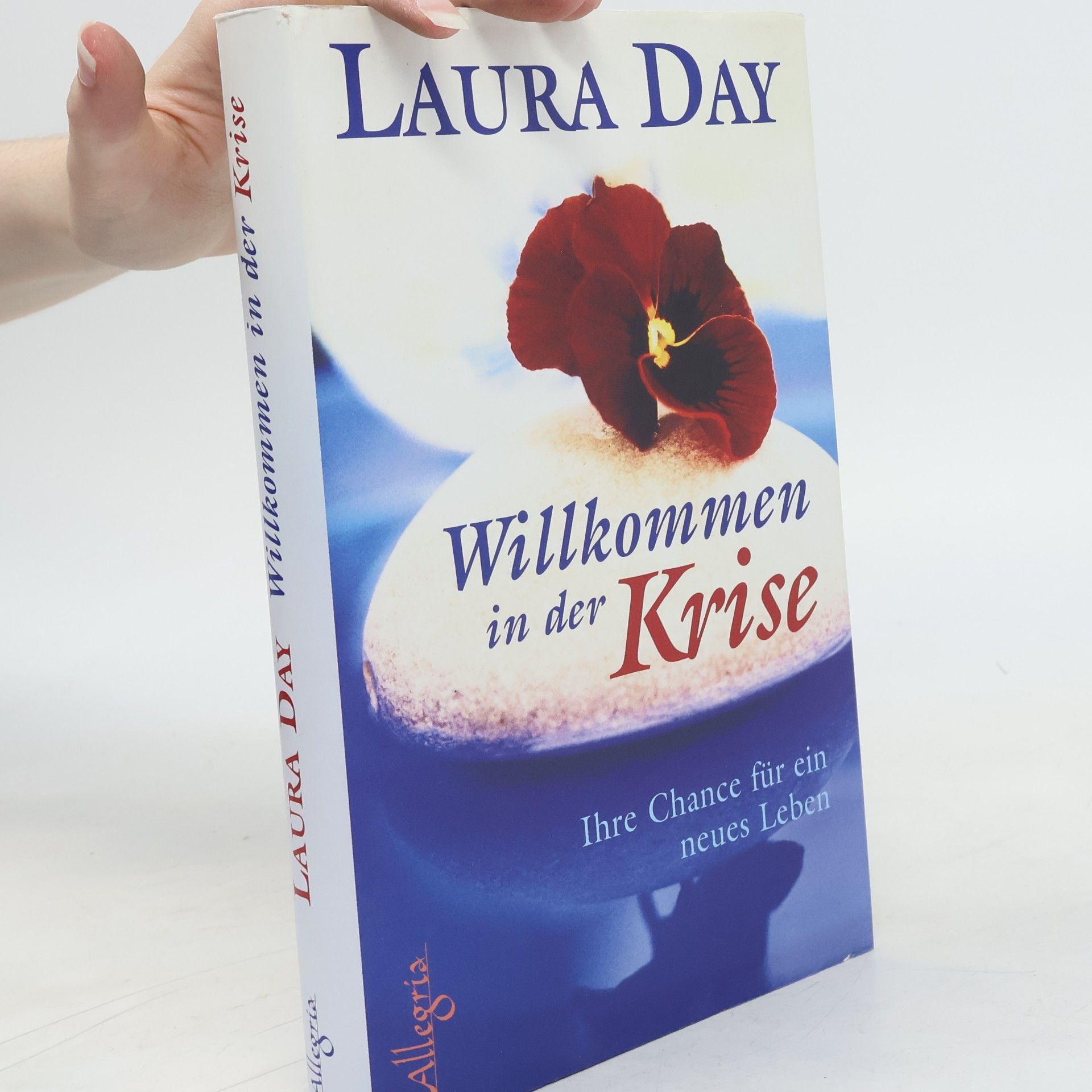 Laura Day Willkommen in der Krise