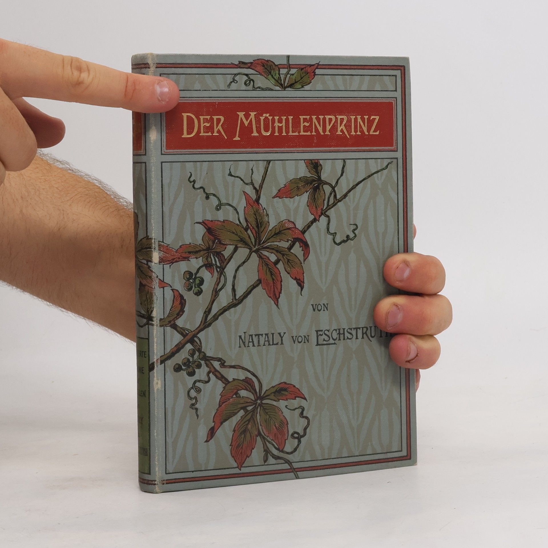 Nataly von Eschstruth Der Mühlenprinz