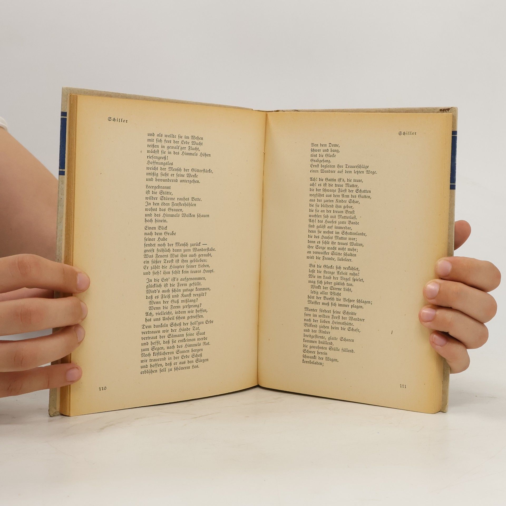 Autorenkollektiv Die Brücke. Lyrik der Goethezeit