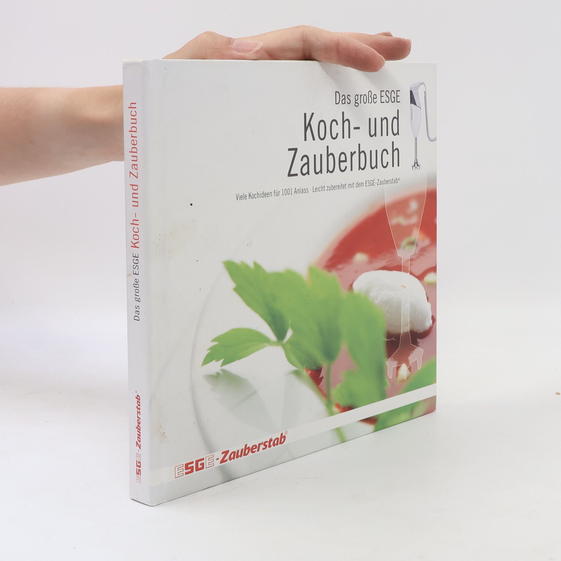 Roger Richter Das große ESGE-Koch-und-Zauberbuch